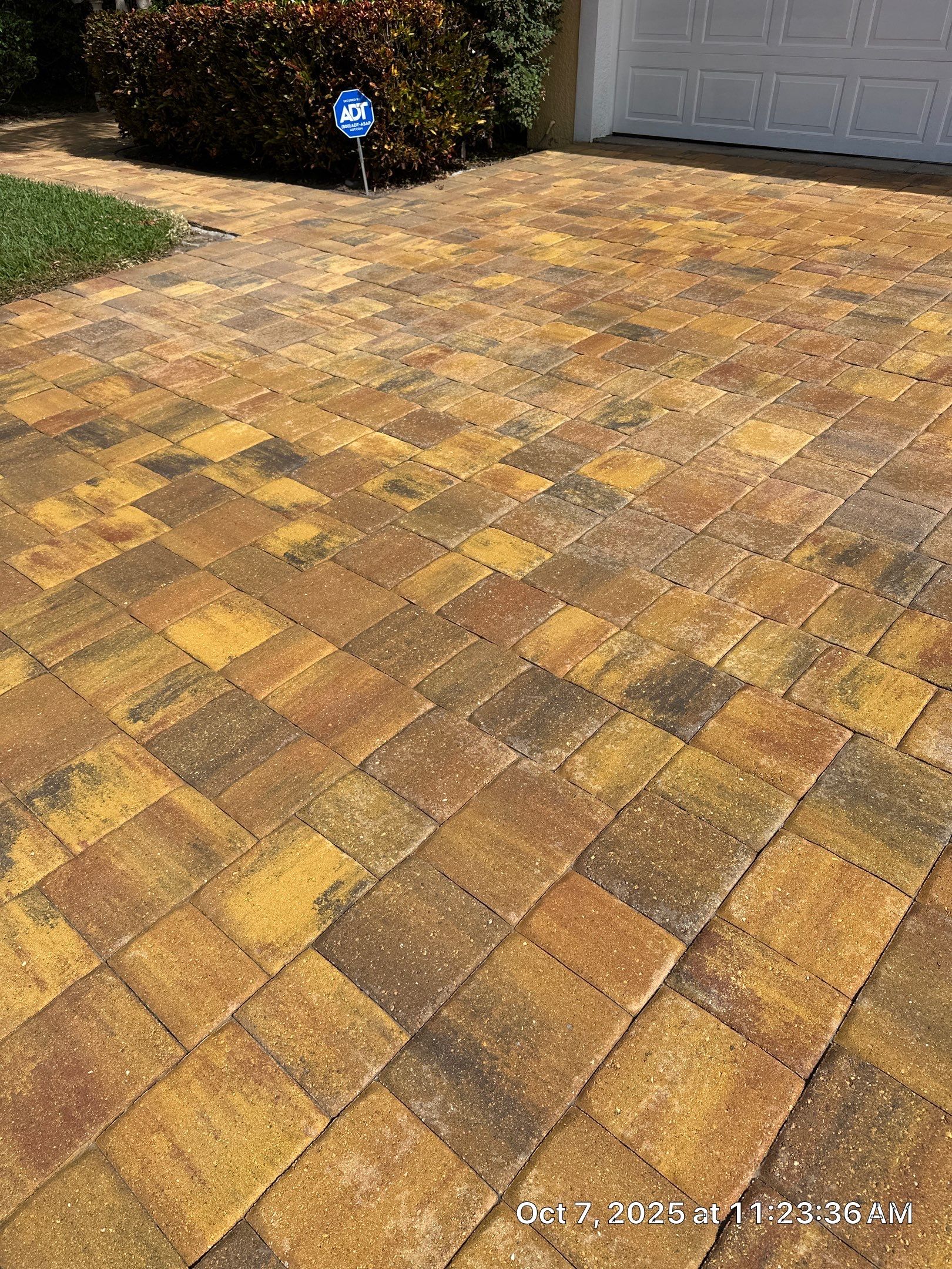 Driveway and Pool Deck Paver Restoration in Apollo Beach by Supreme Paver Experts