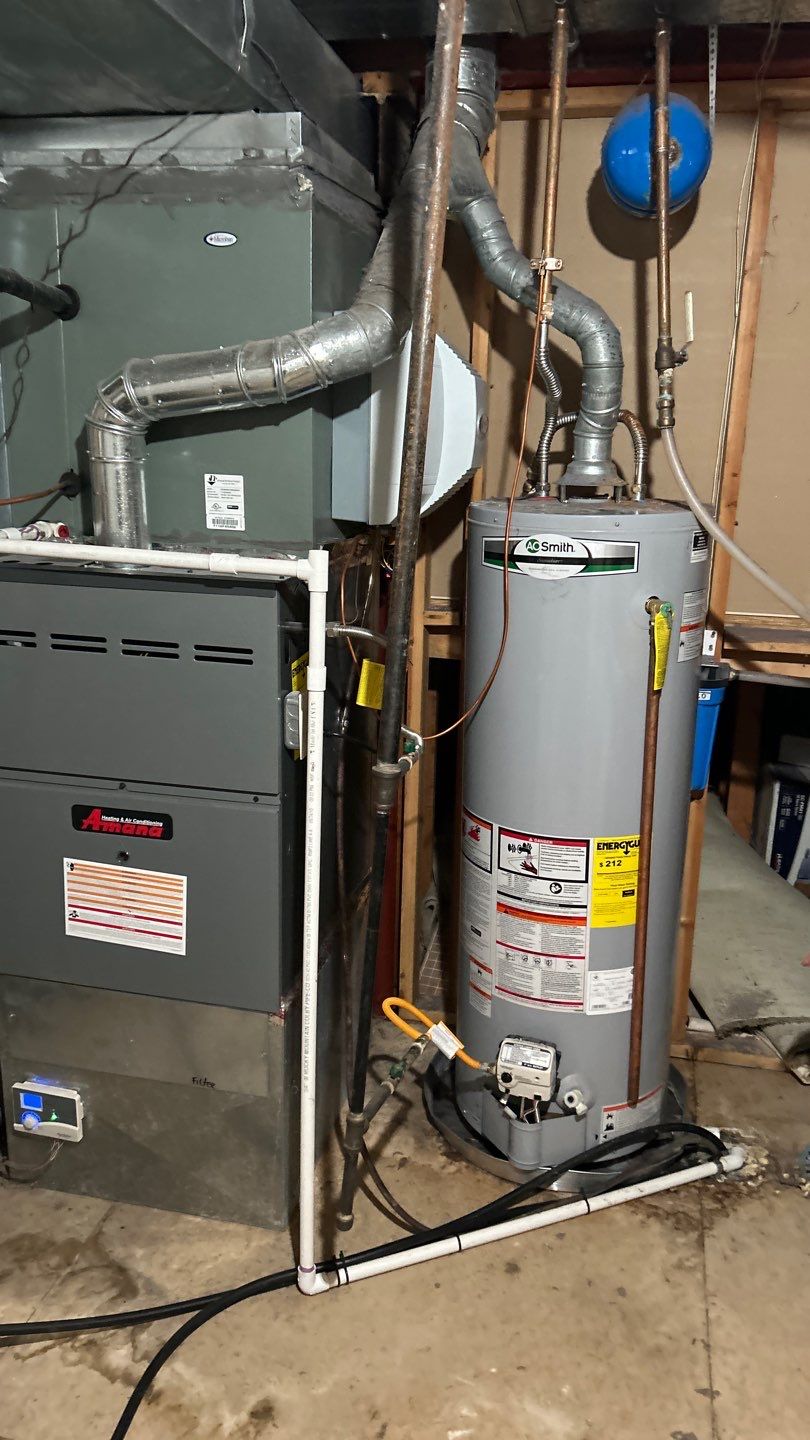 Mold Damage by Accountable Home Services