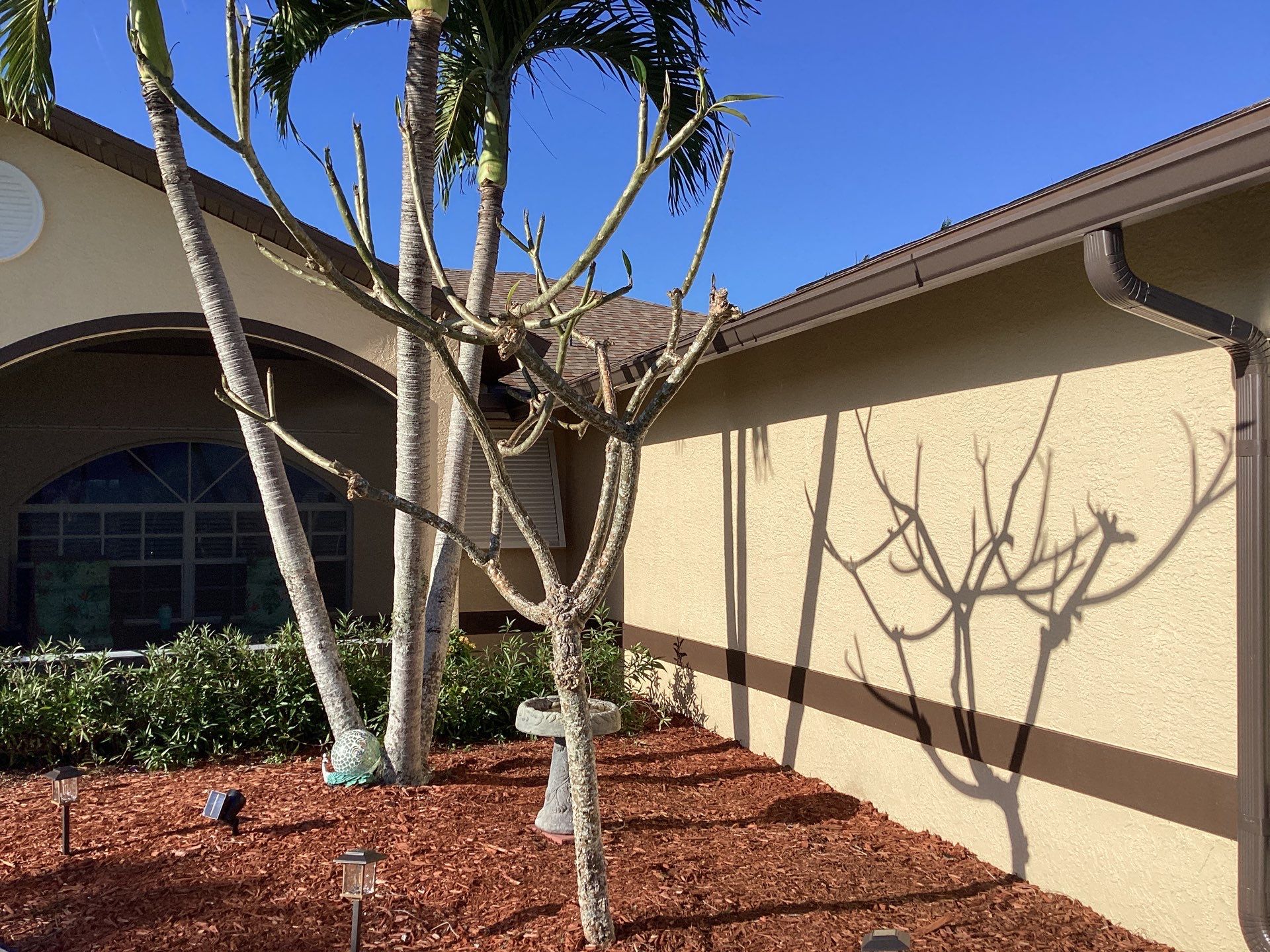 Musket Brown Seamless Gutters using Royal Brown by Gutter Professors