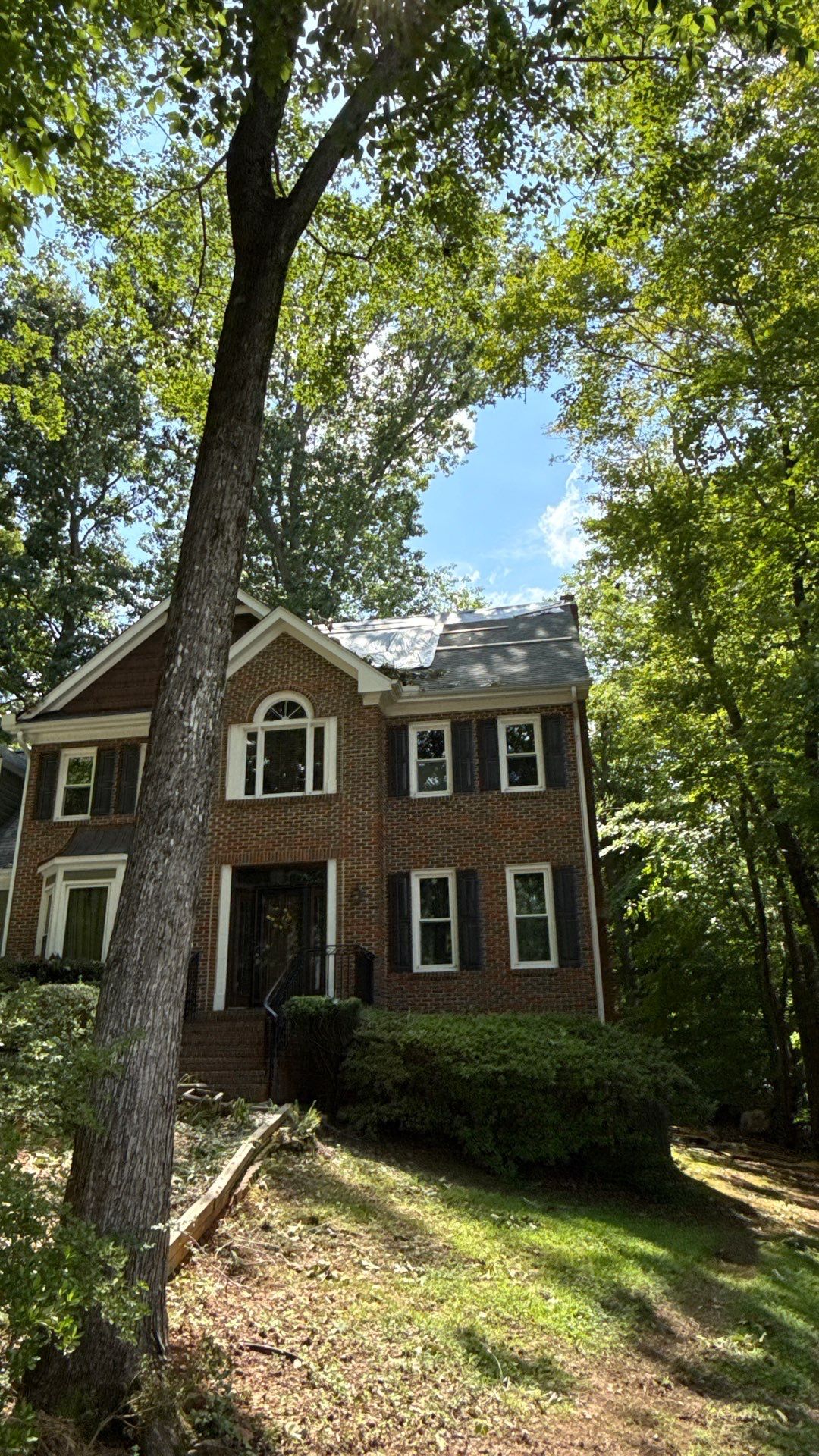 Storm Damage Mitigation and Structural Drying After Tree Impact in Raleigh by One Team Restoration