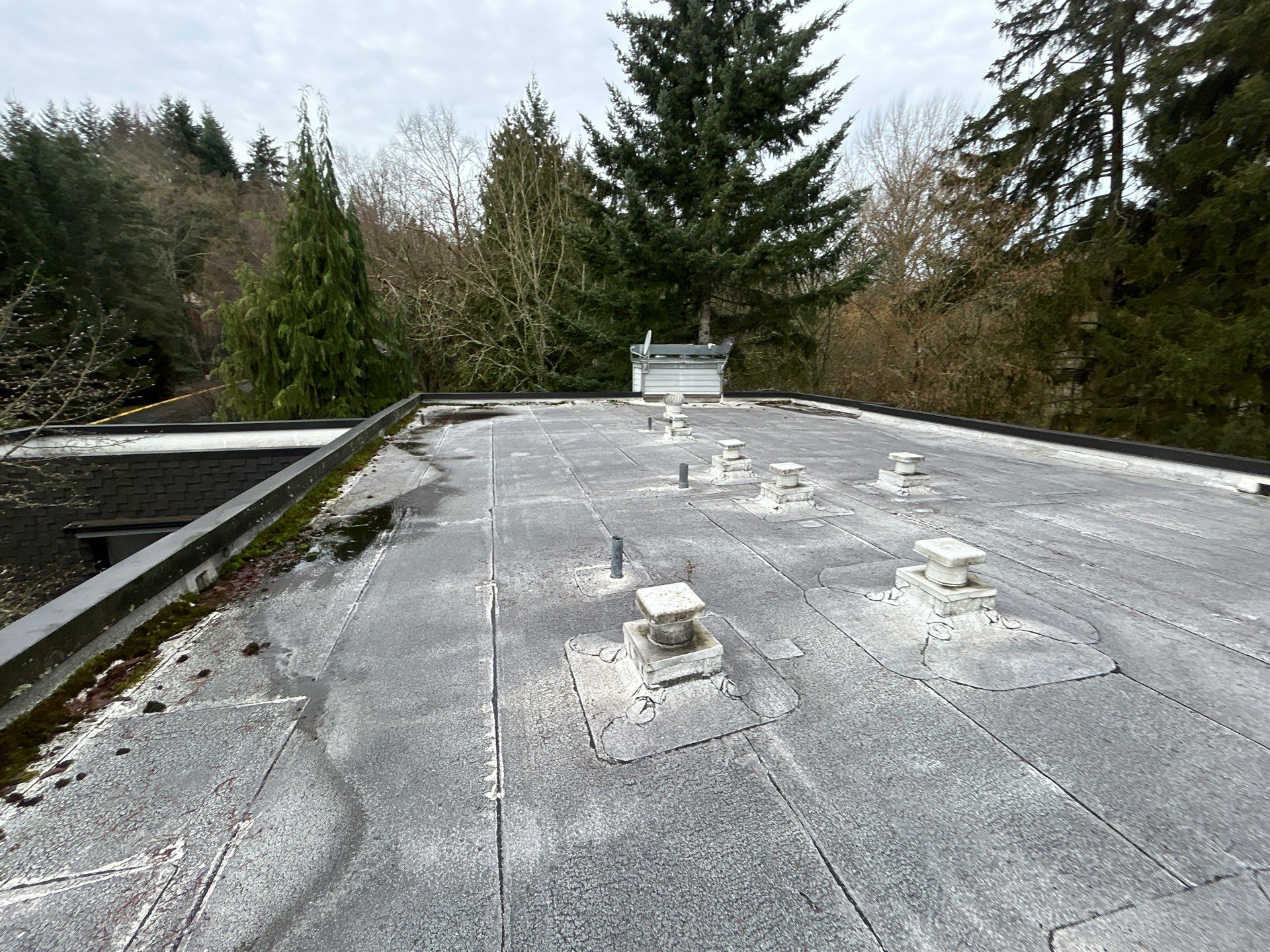 Project in Kirkland by Connolly Construction Company