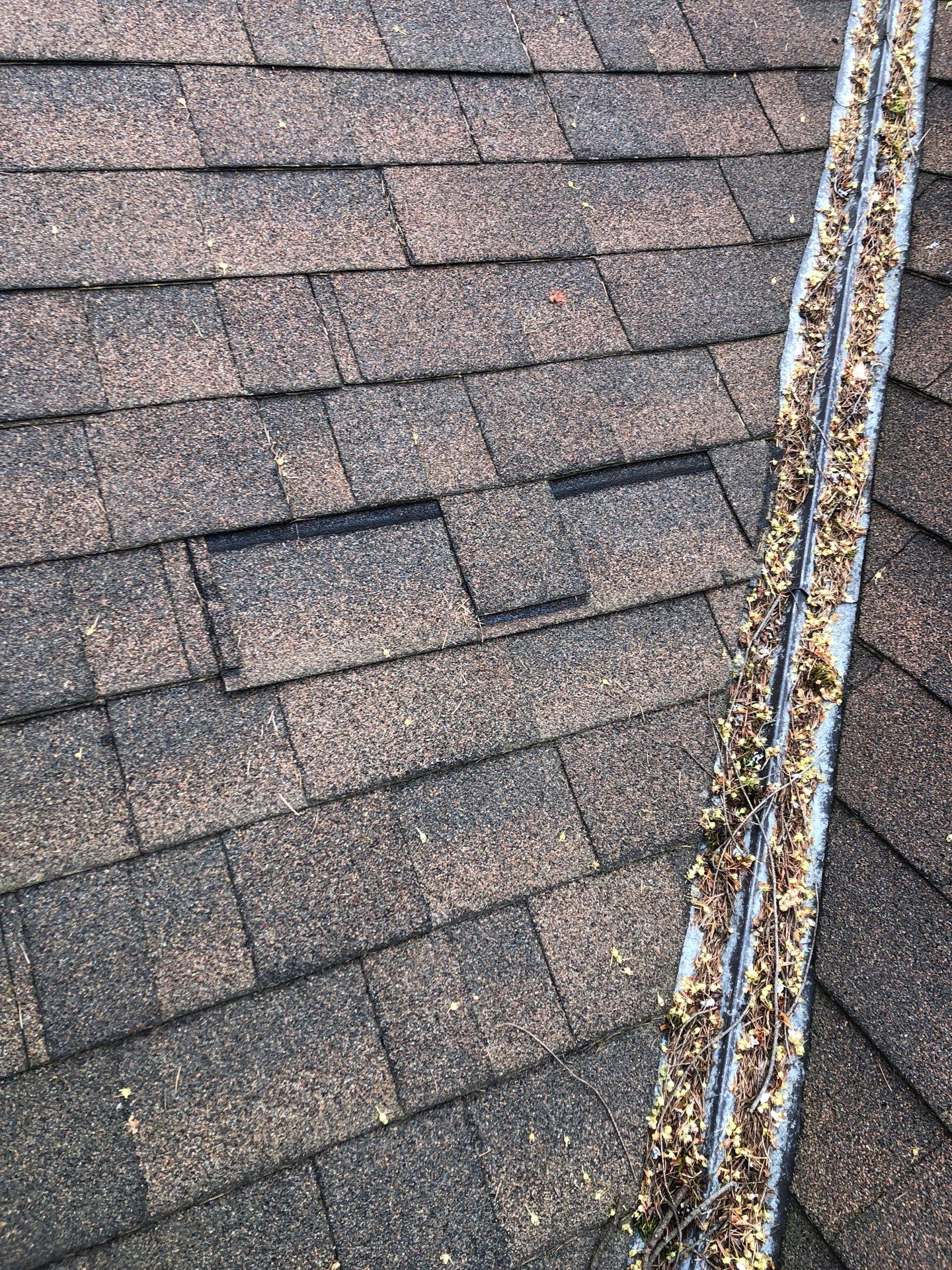 Project in Seattle by Peaks and Valleys Construction