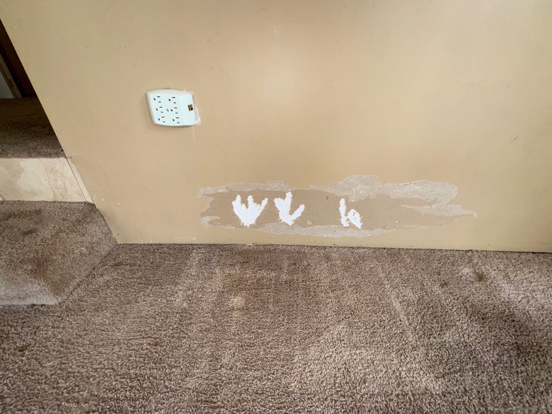 Prepping Home To Sale by Axtra Hand