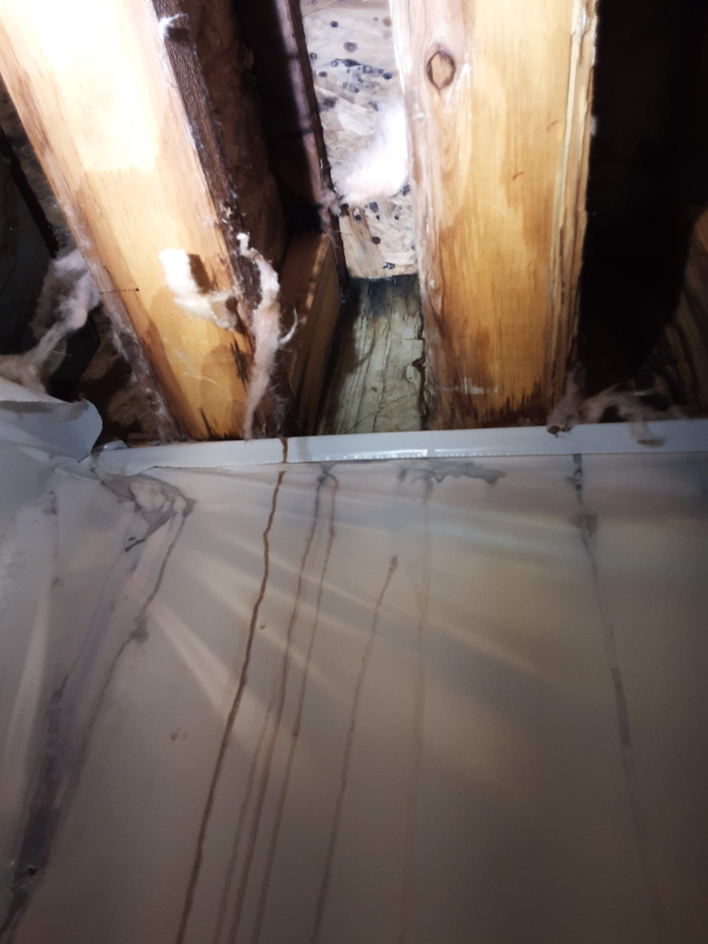 Interior water damage inspection by ASAP Roofing & Exteriors