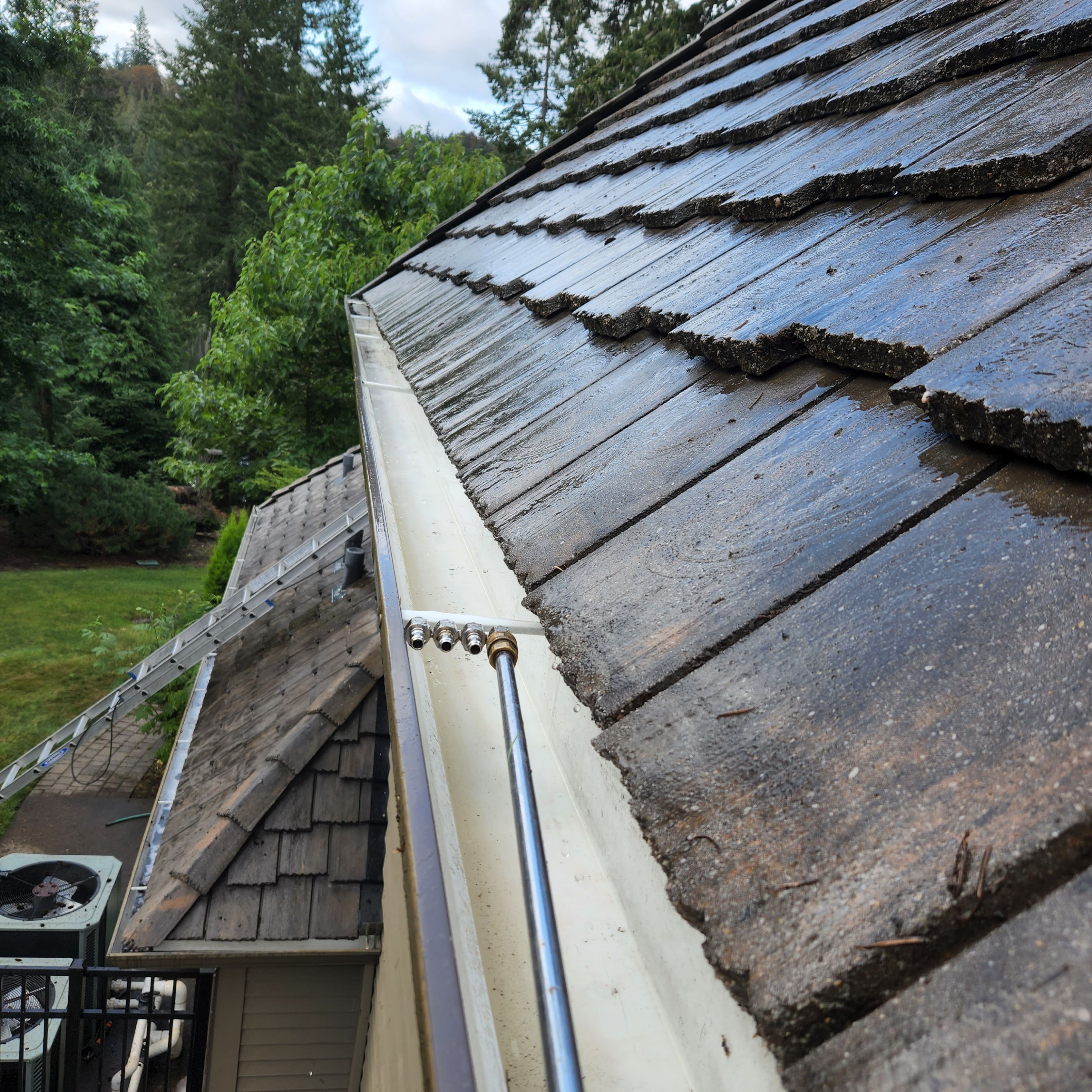 Moss Removal/ Treatment using Biocide by Willamette Outdoor Wash LLC