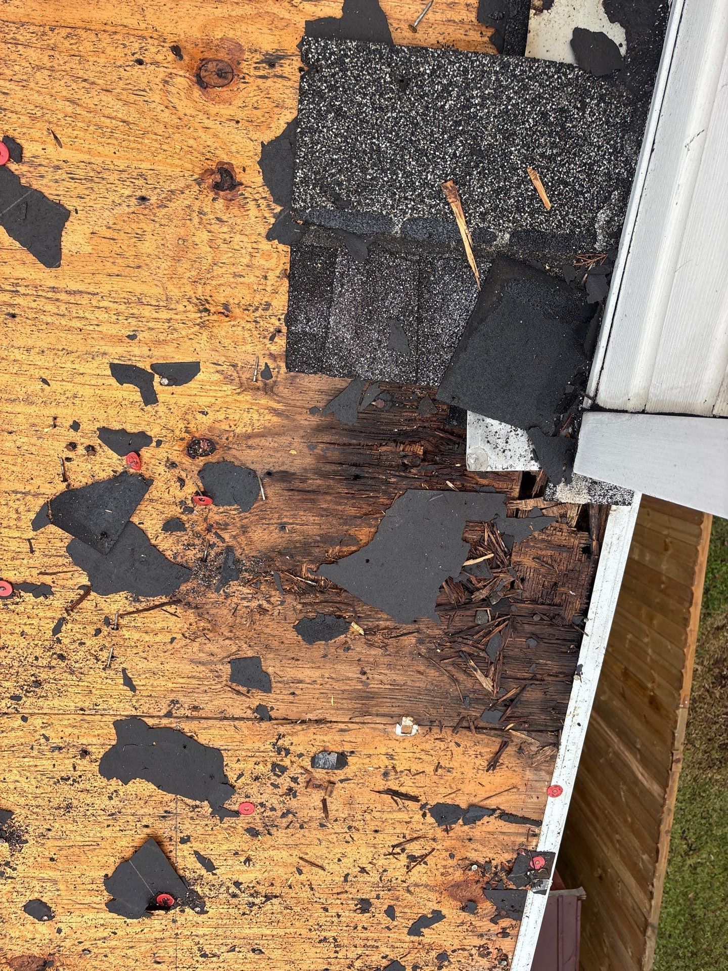 Roof Replacement Webster by Roof Repair Services LLC