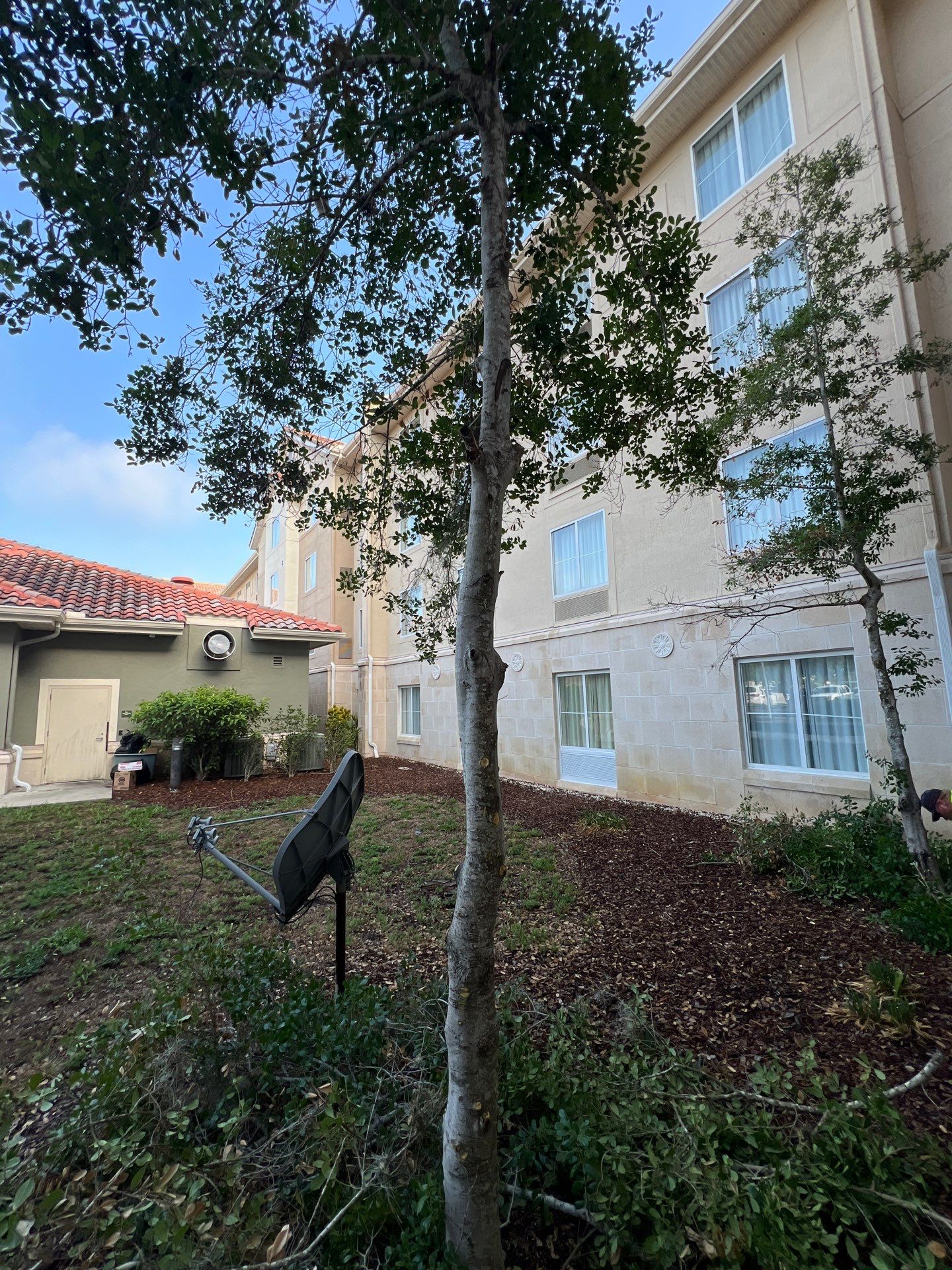 Homewood Suites | Tree Service by ProGreen Services