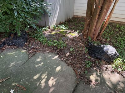 Project in Indian Trail