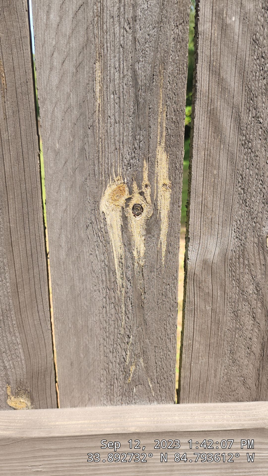 Fence Restoration using Chocolate by SSE by Titans of Timber Fence & Stain