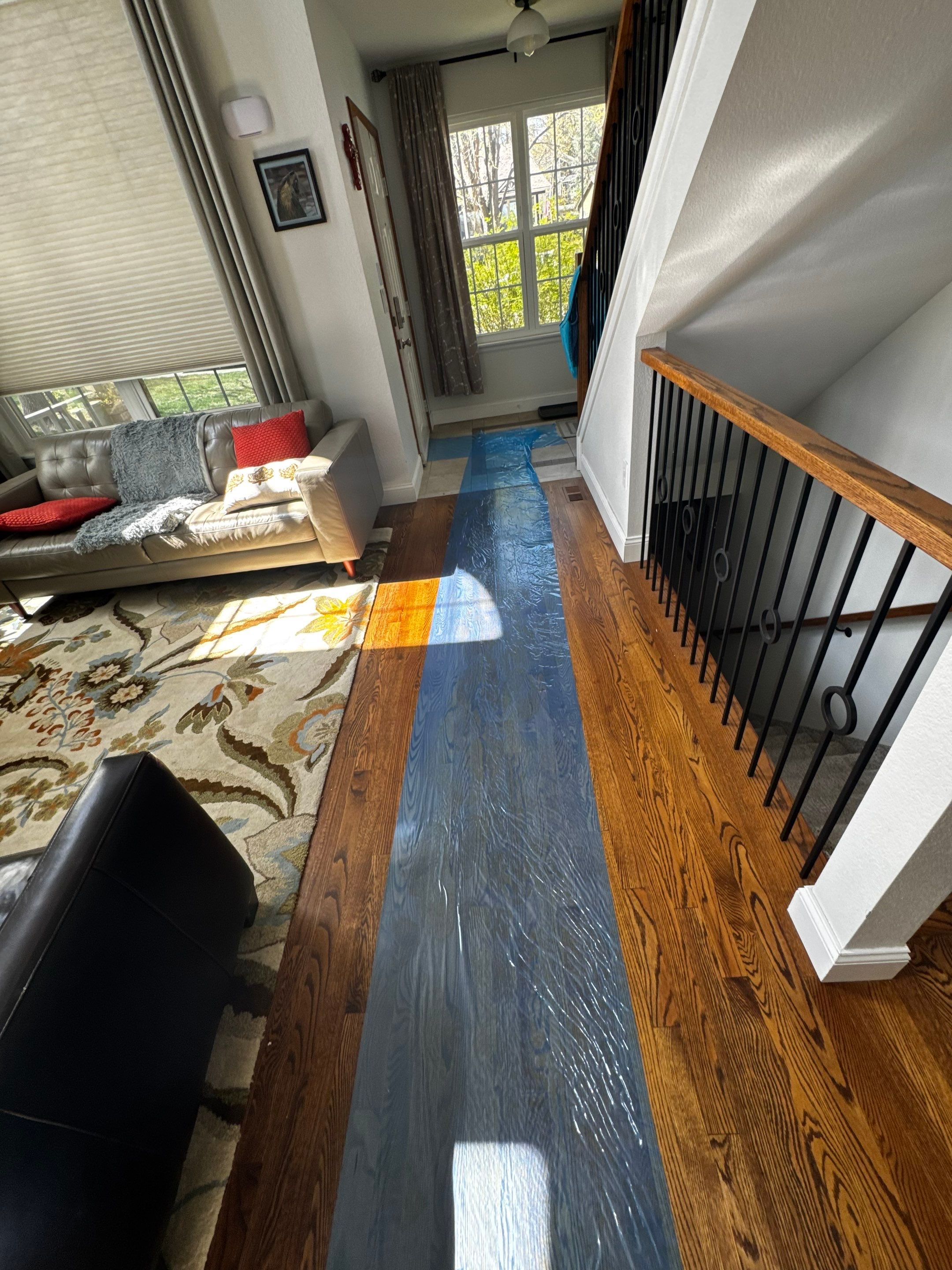 Mold Project in Thornton by Accountable Home Services