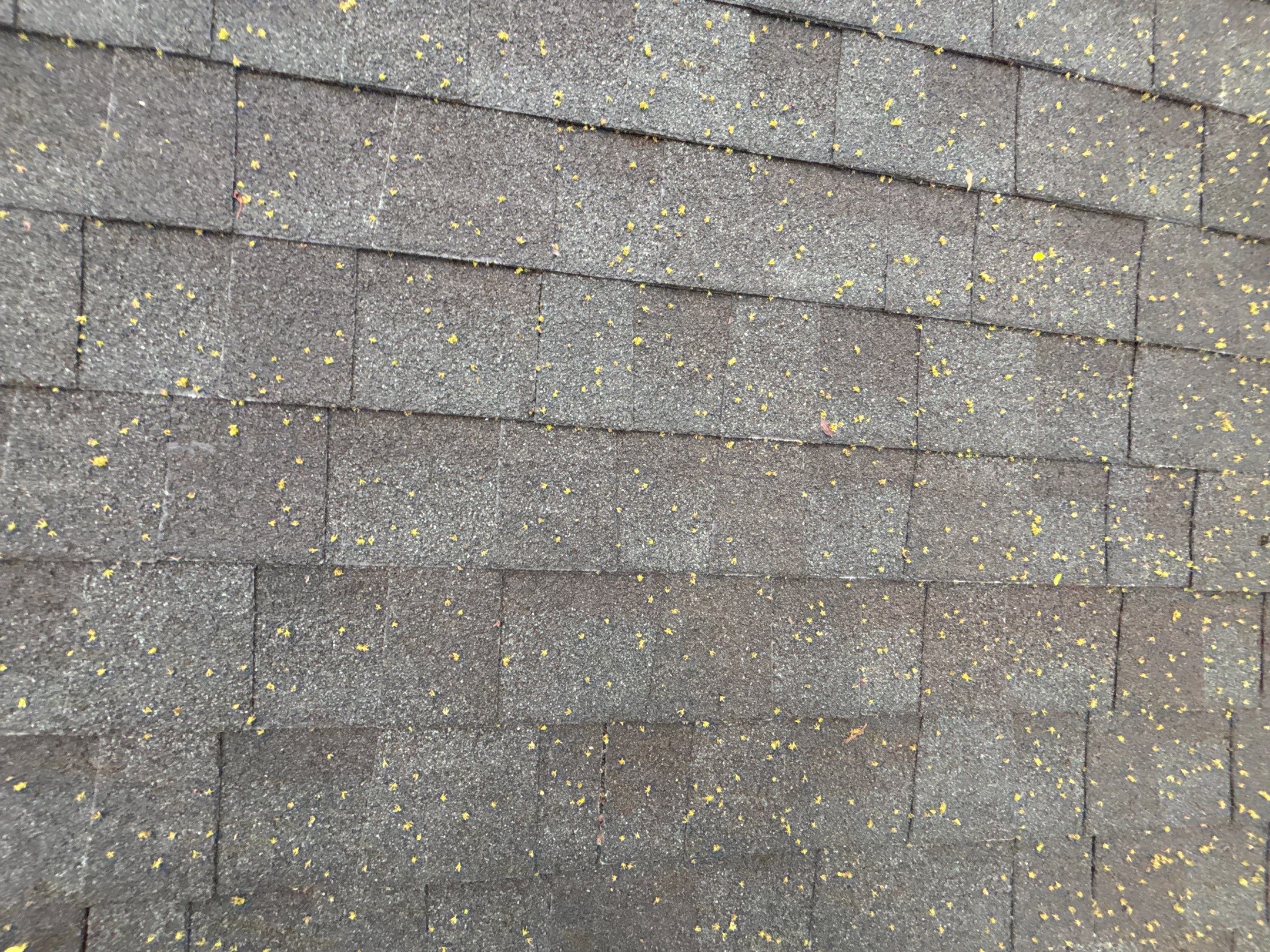 Roof Replacement using Owens Corning Estate Gray by 180 Contractors