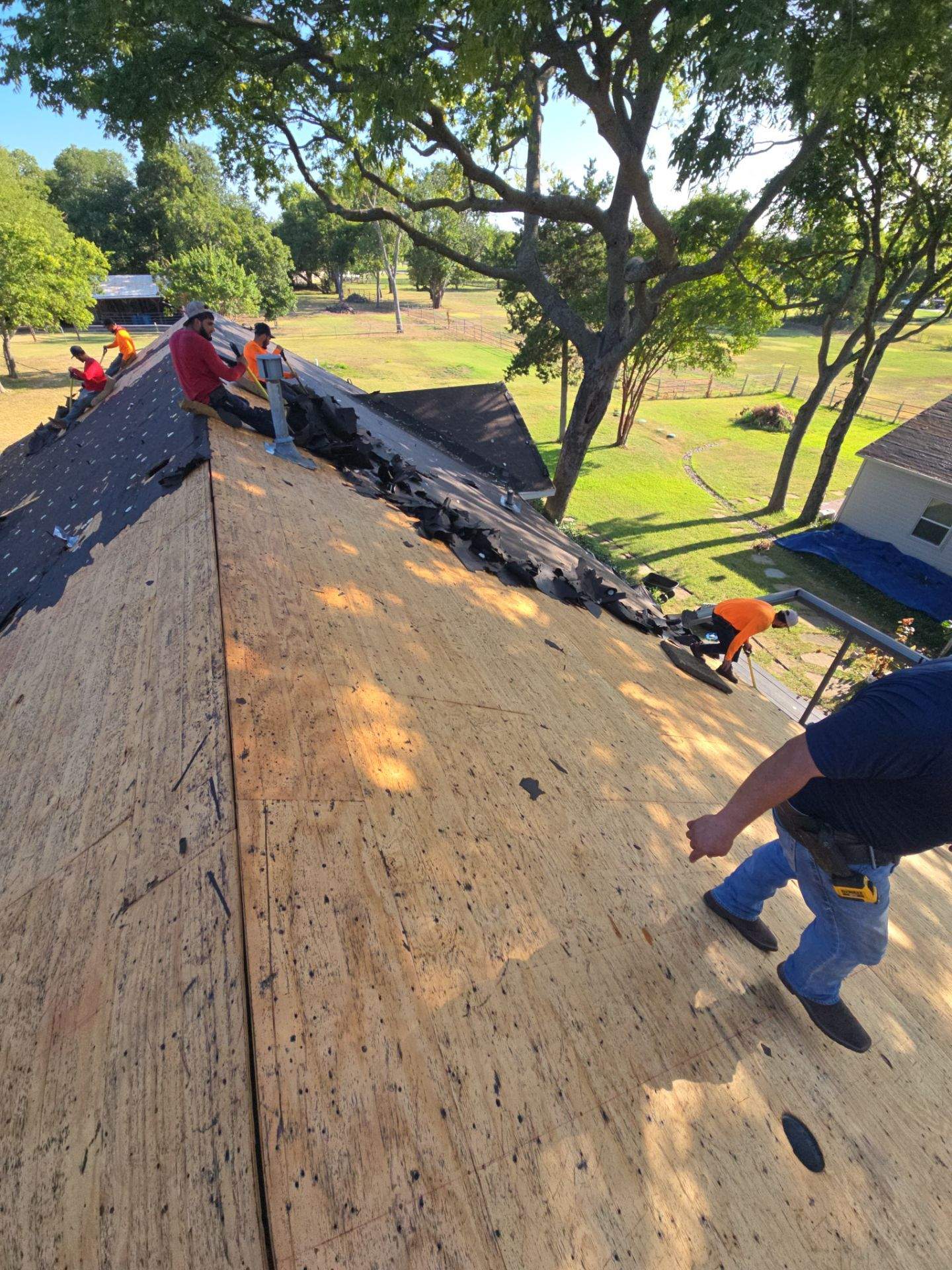 Architectural Shingle Roof Replacement and Storm Restoration in Allen, Texas by Armor Roofing | Exteriors
