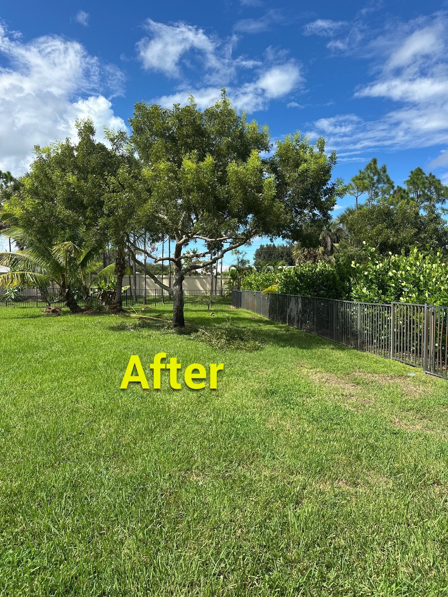 From Overgrown to Picture-Perfect - Stuart Refresh by Alpha Zeta Enterprises Inc