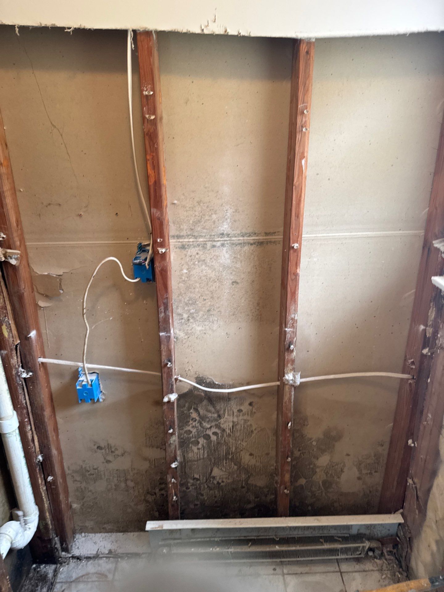 Mold Remediation and Water Damage Repair in Stonybrook, NY by Newhouse Restoration