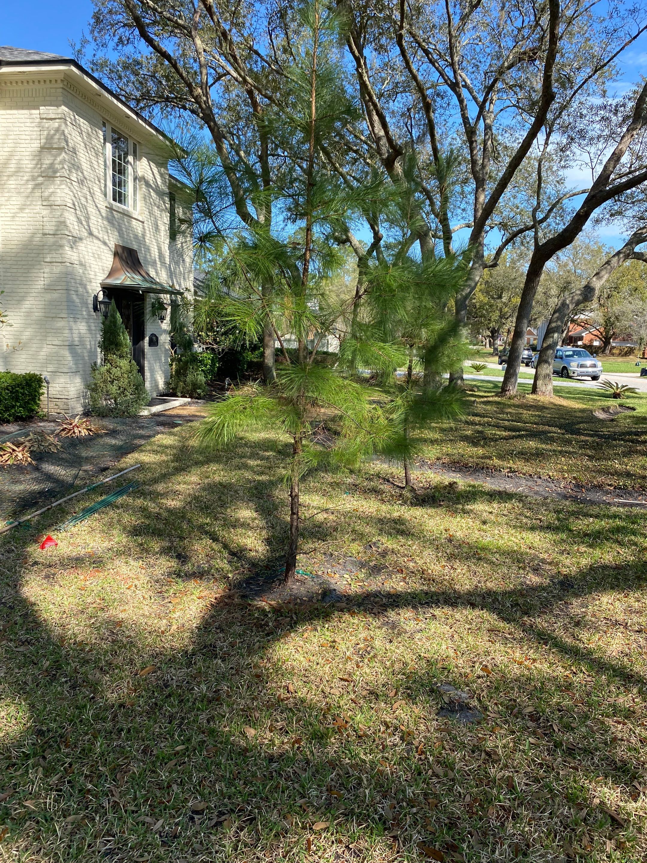 Deerwood Resident | Tree Service by ProGreen Services