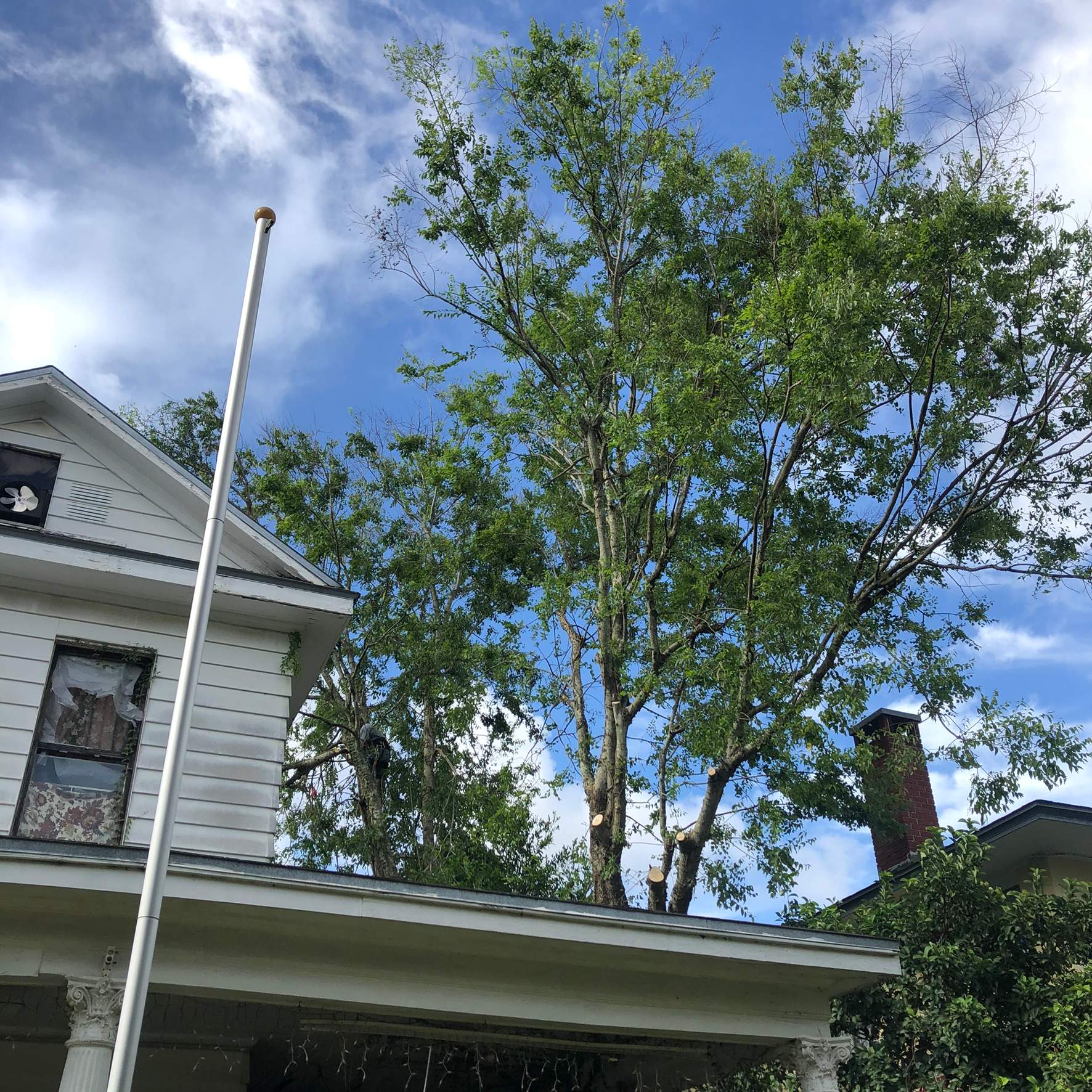 Extreme Clean Up | Riverside Area by ProGreen Services