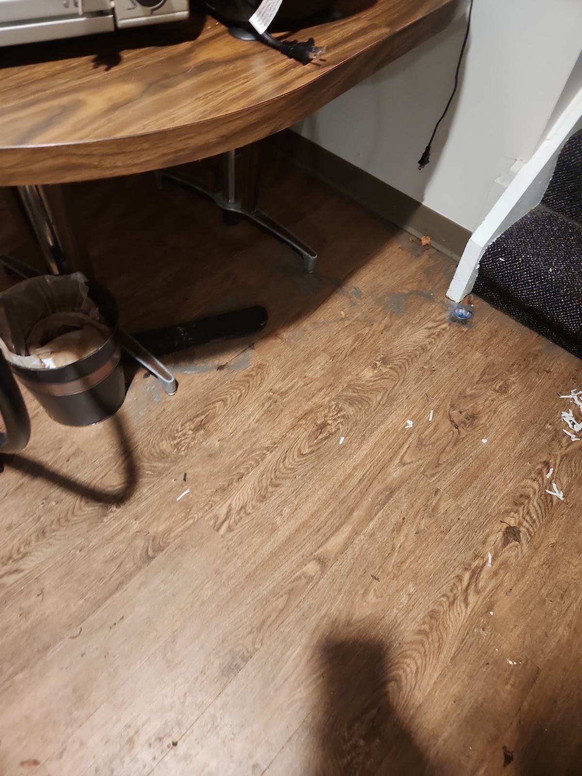 Project in West Bloomfield Township by EzDry Water Mitigation & Property Restoration