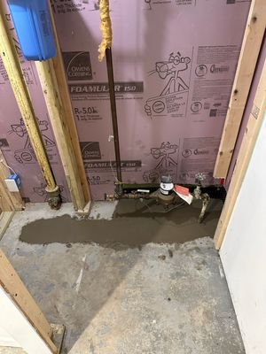 Peace of Mind for Molly’s New Home