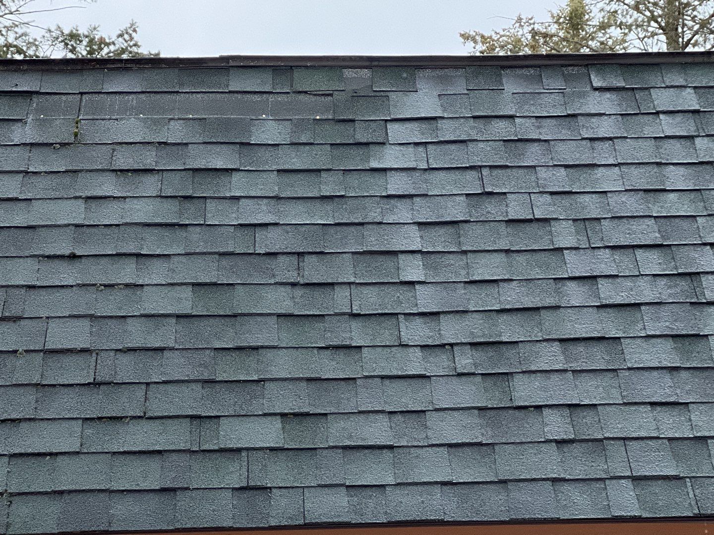 GAF Timberline HDZ - Hunter Green by Montana Roofing Solutions