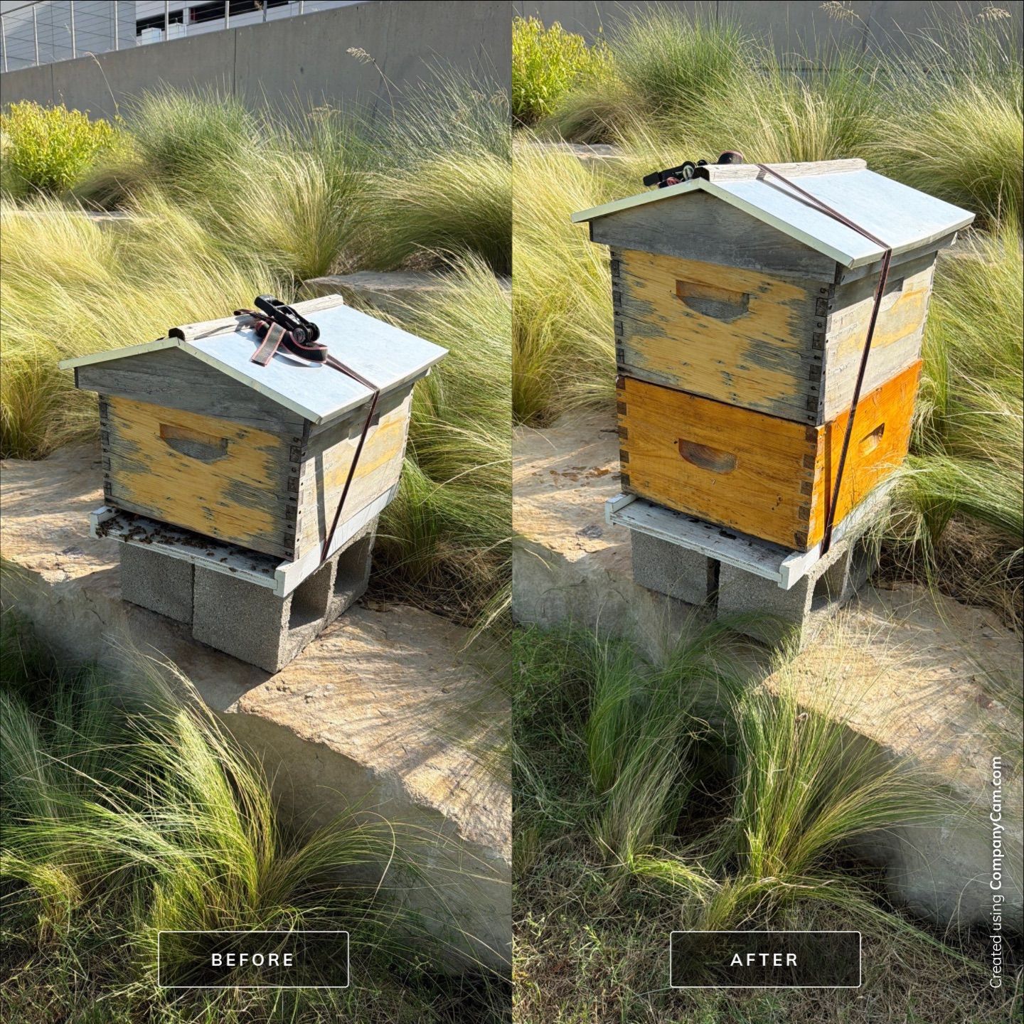 Corporate HQ by Rockwall Honey Bee Company