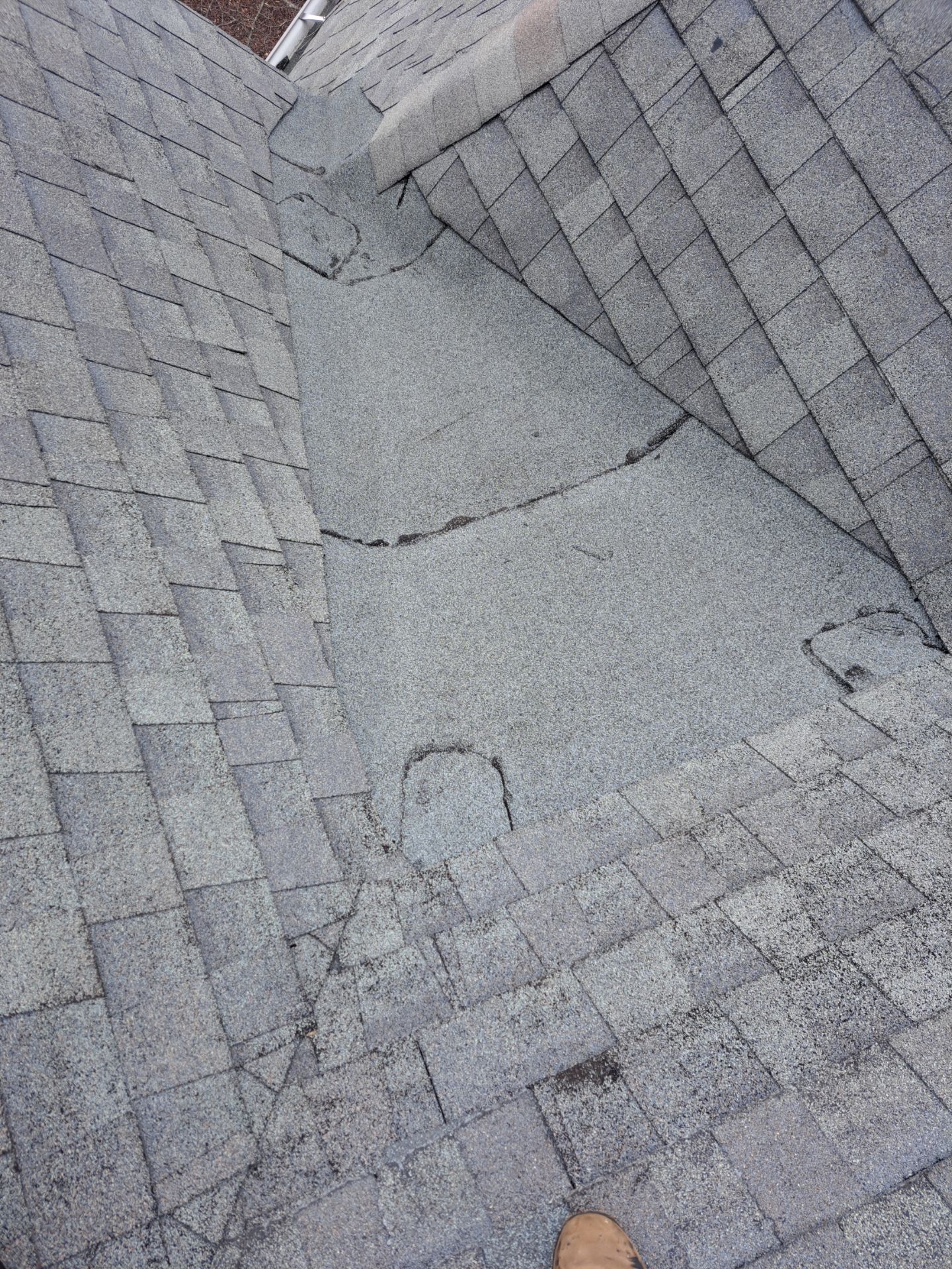 Top-Quality Williamsburg Gray Owens Corning Roof Installation in Roswell, Georgia by NBS Roofing by NBS Roofing, Inc.