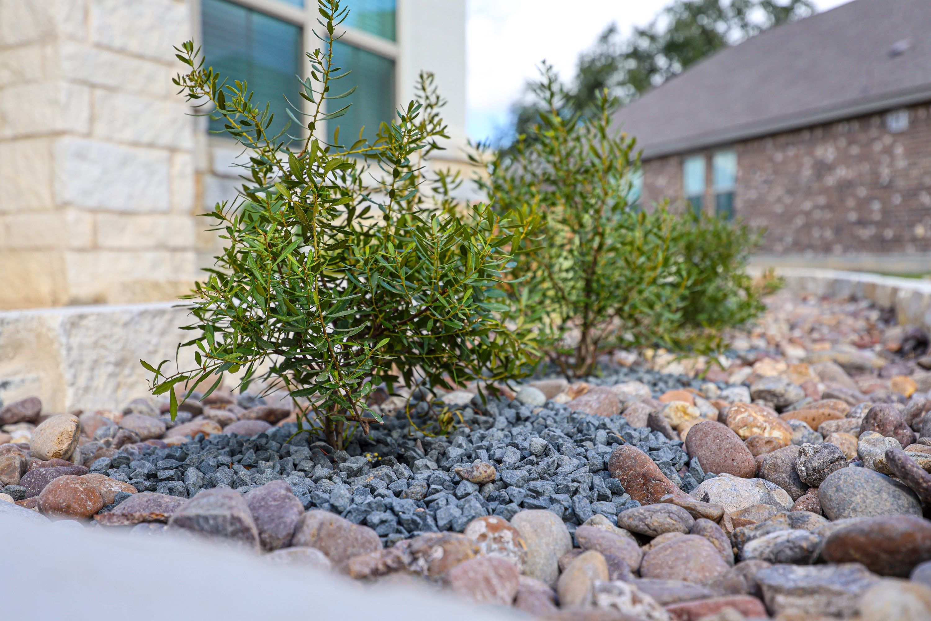 Buffalo Crossing, Cibolo Tx. by Hole In One Lawns, LLC