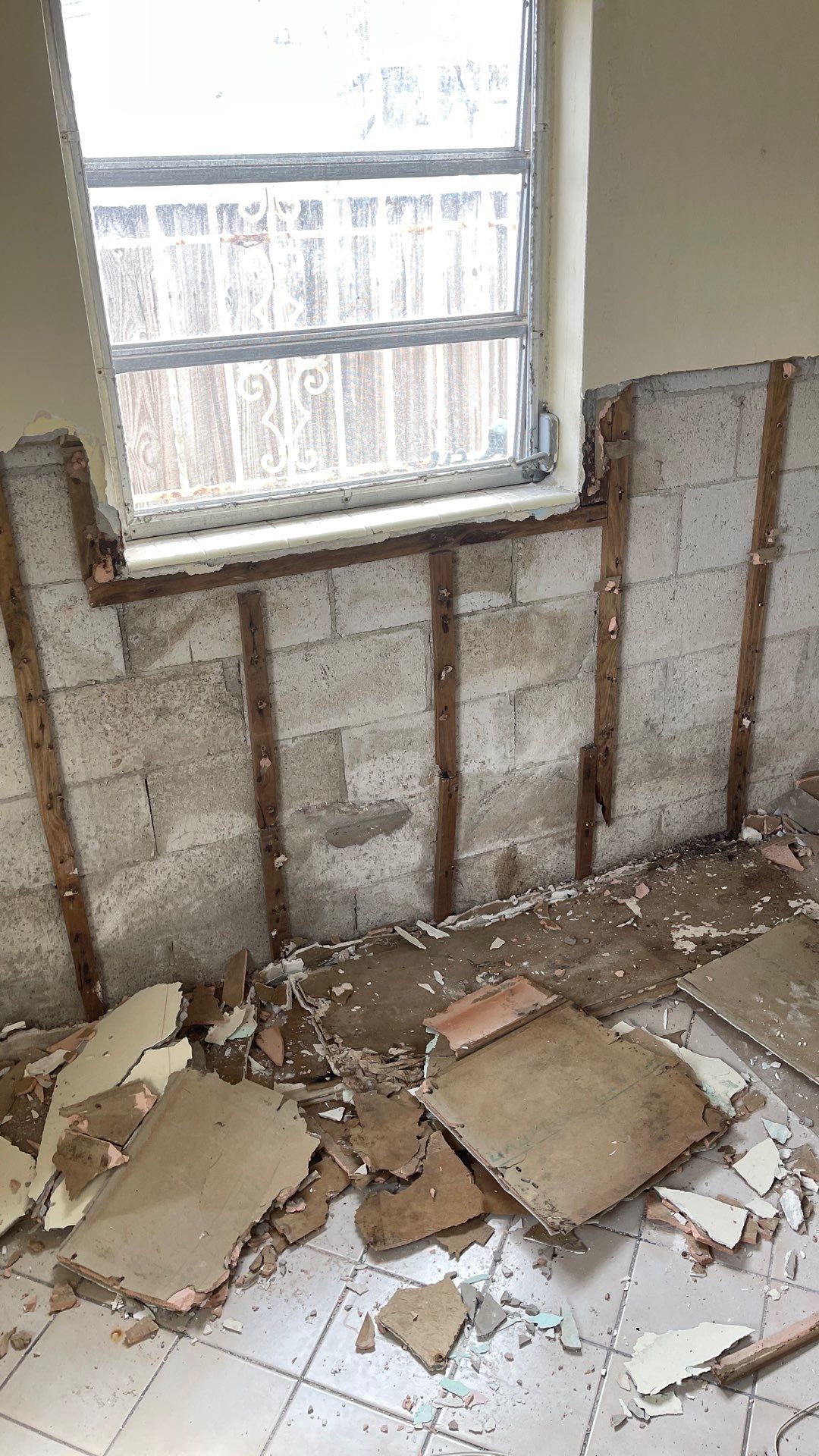 Mold Remediation  by THE RAPID TEAM