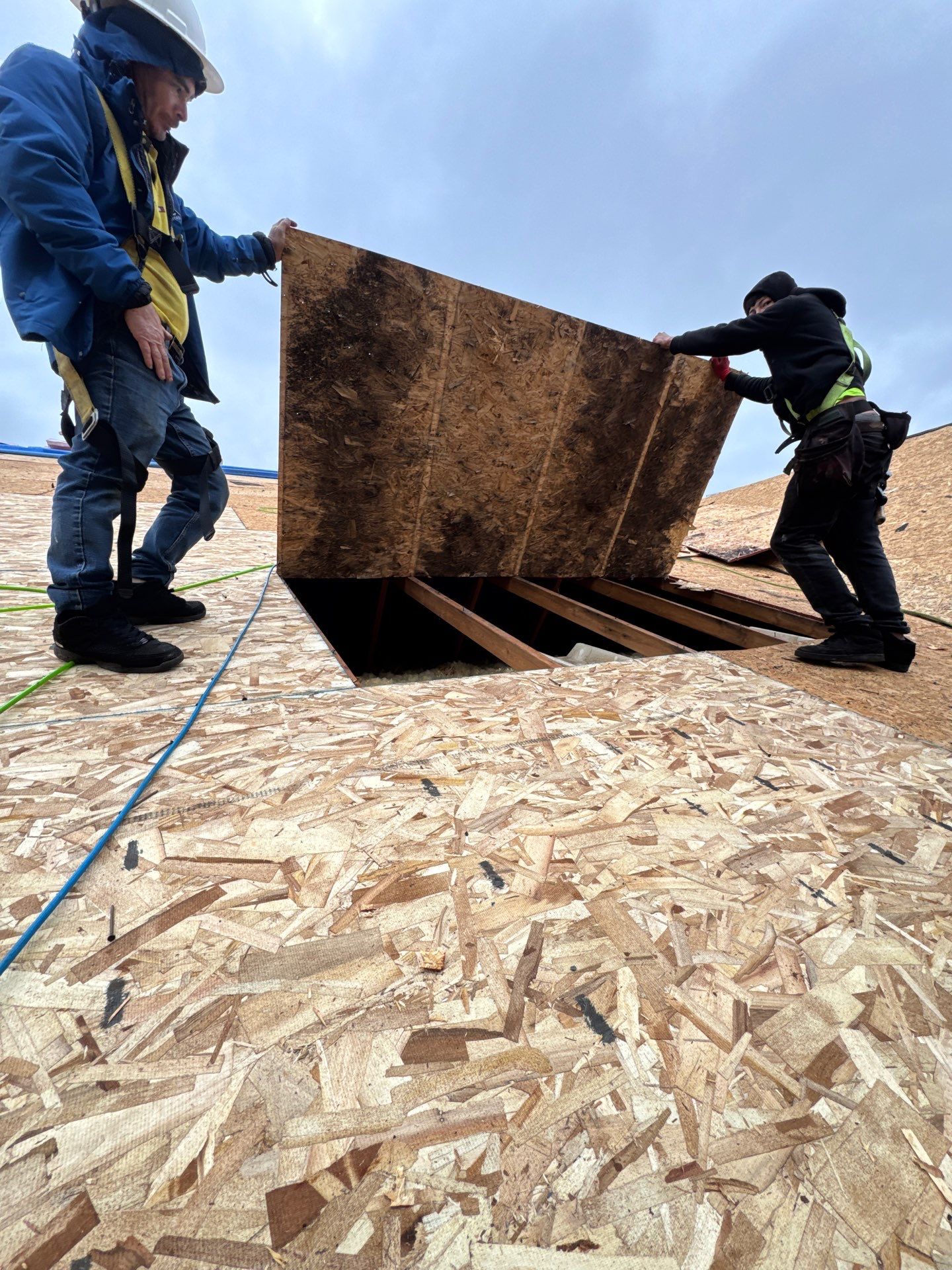 HVG 1148 by AFC Exteriors