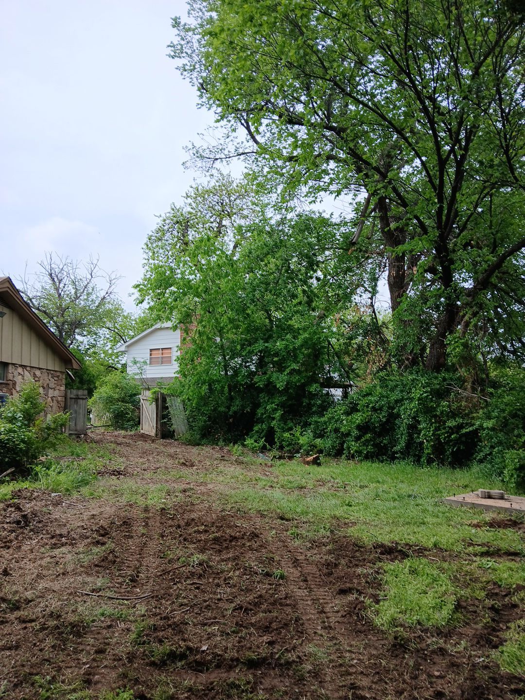 Tree Removal by Clays Services Inc