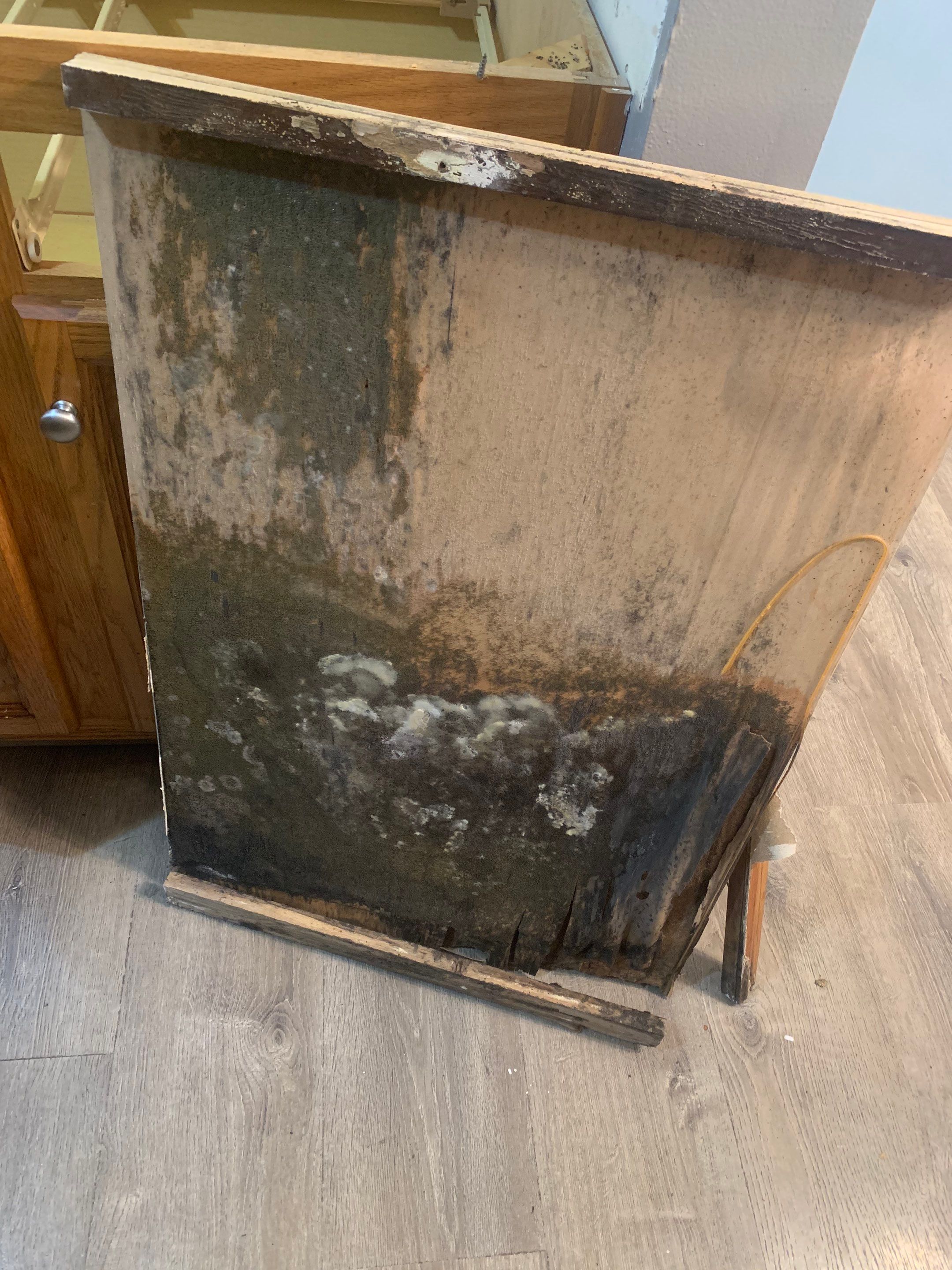 Interior Mold Remediation in Kitchen by ANR Restoration