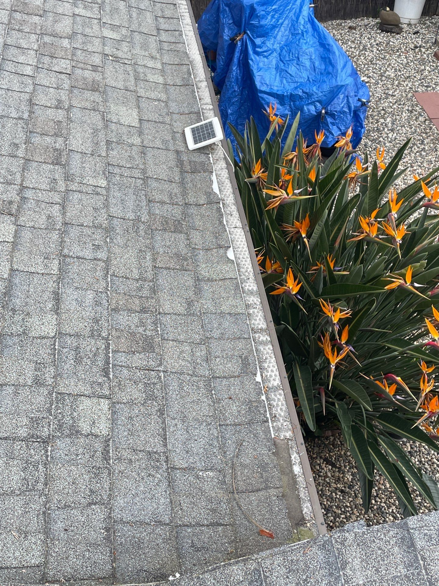 Roof Rejuvenation using Roof Maxx Treatment by Roof Maxx of Folsom