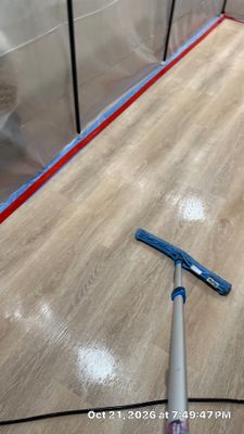 Mold Remediation — Estero, FL