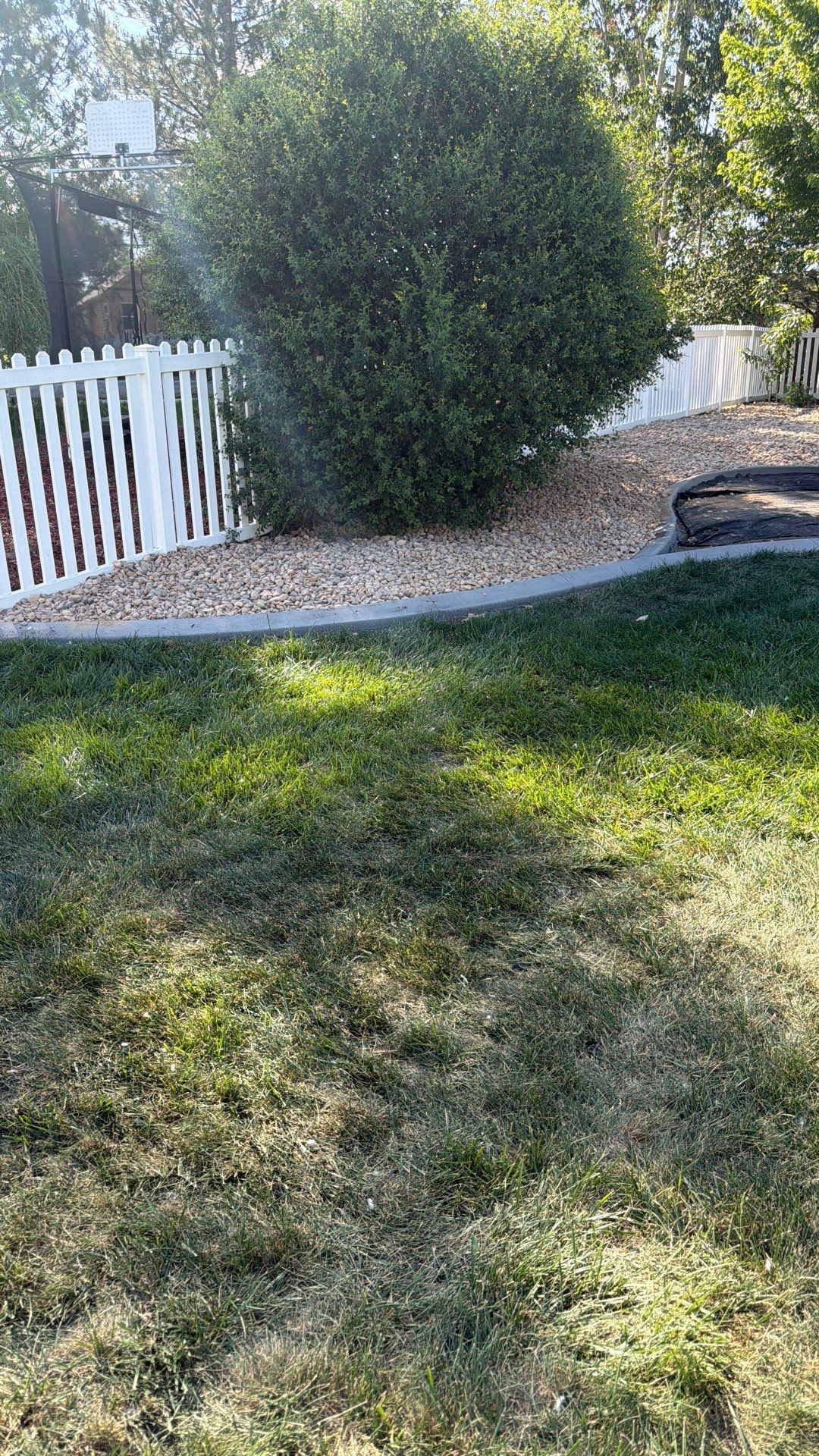 Project in Loveland, CO by Tristar Landscapes