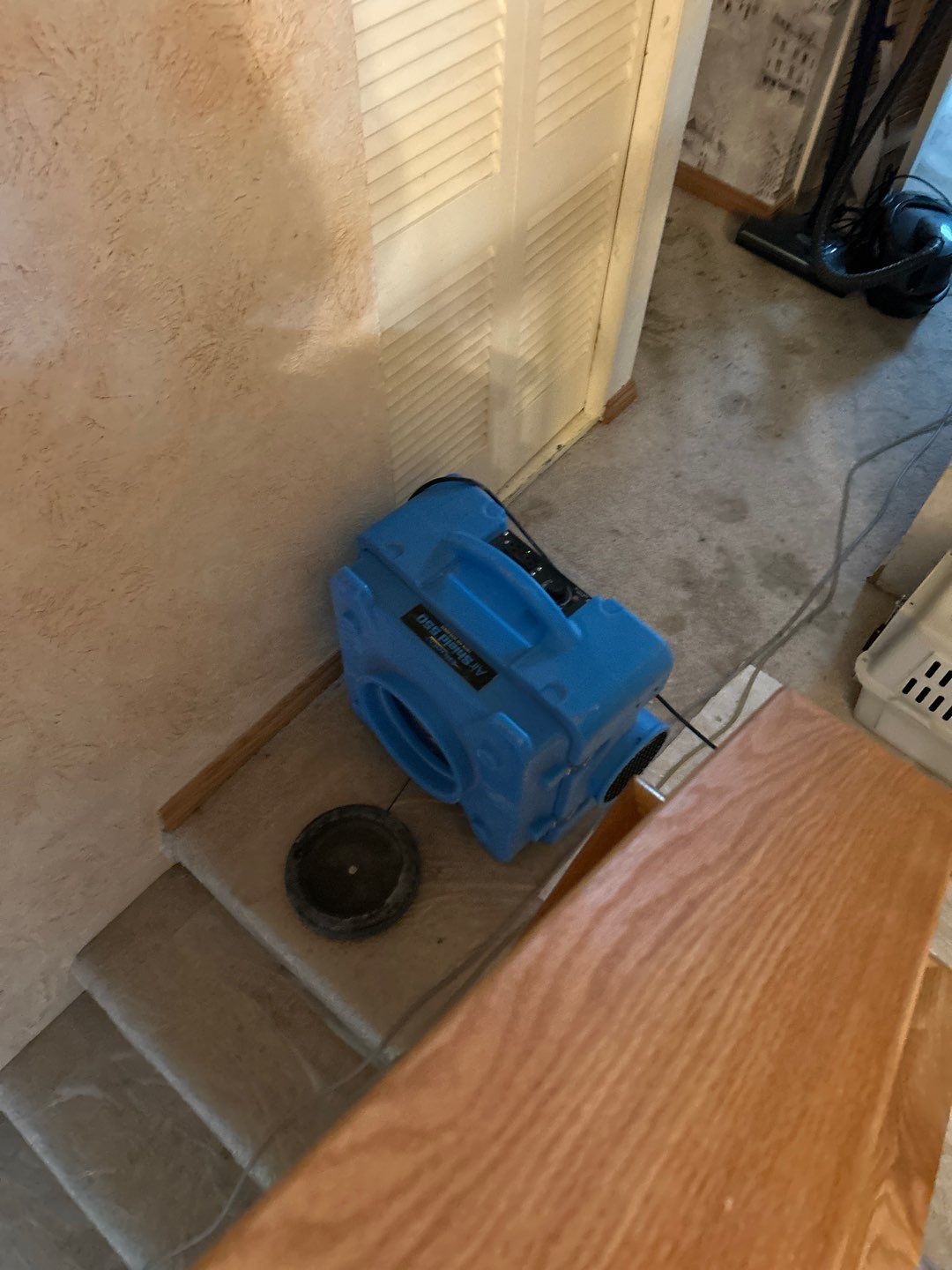 Water Damage Project in Conifer by Accountable Home Services
