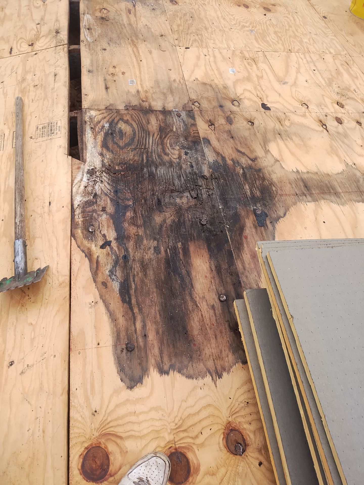 Project in Pinellas Park 33782 by Mitchell Roofing Company LLC