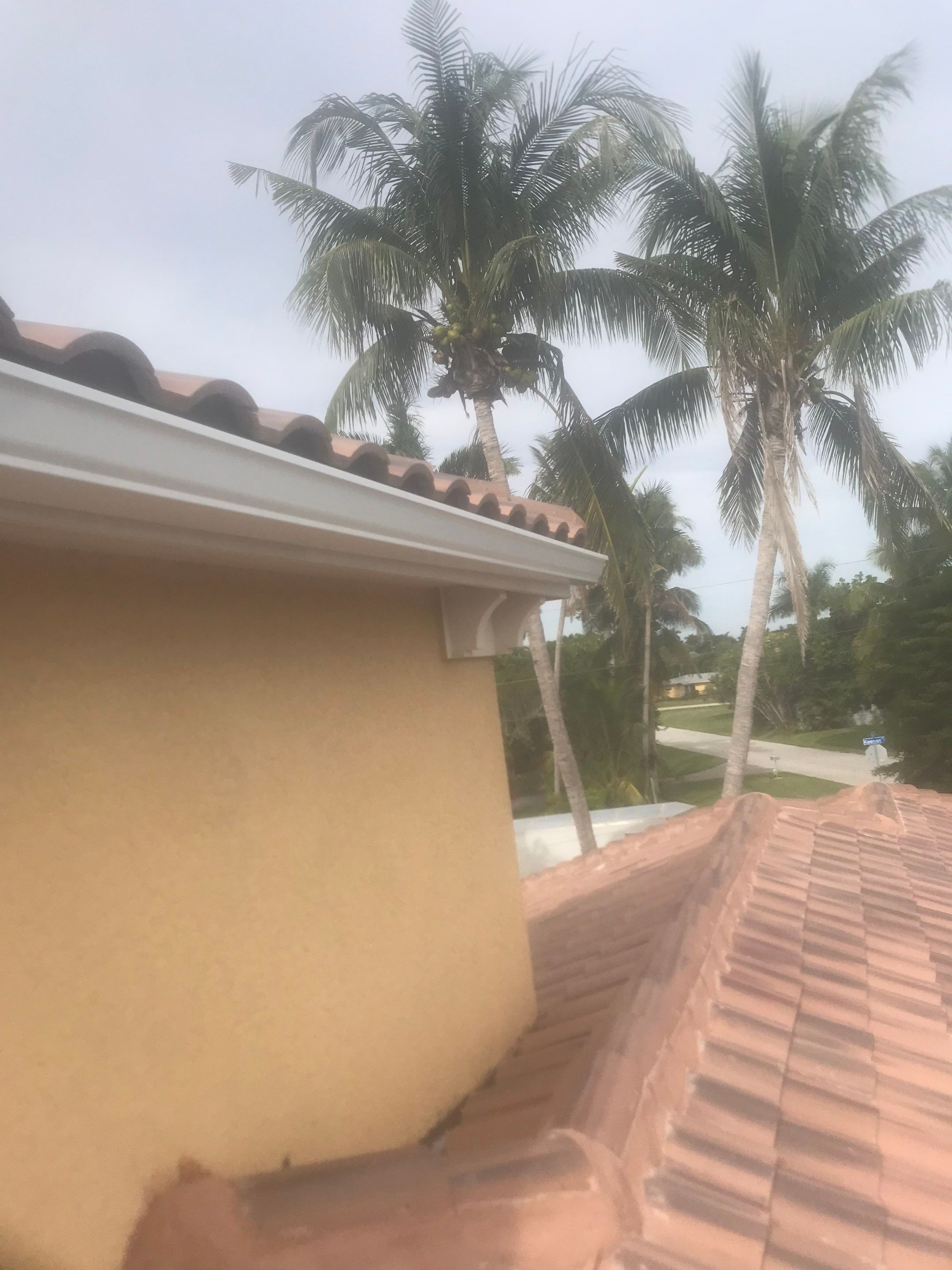 6 Inch Seamless Gutters using White Gutters and Downspouts in Fort Myers FL by Gutter Professors