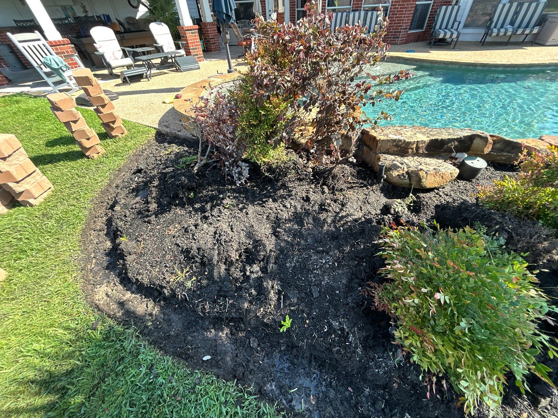 🌿 Larry Caudillo’s Poolside Landscape Revamp by Texas Urban Elements