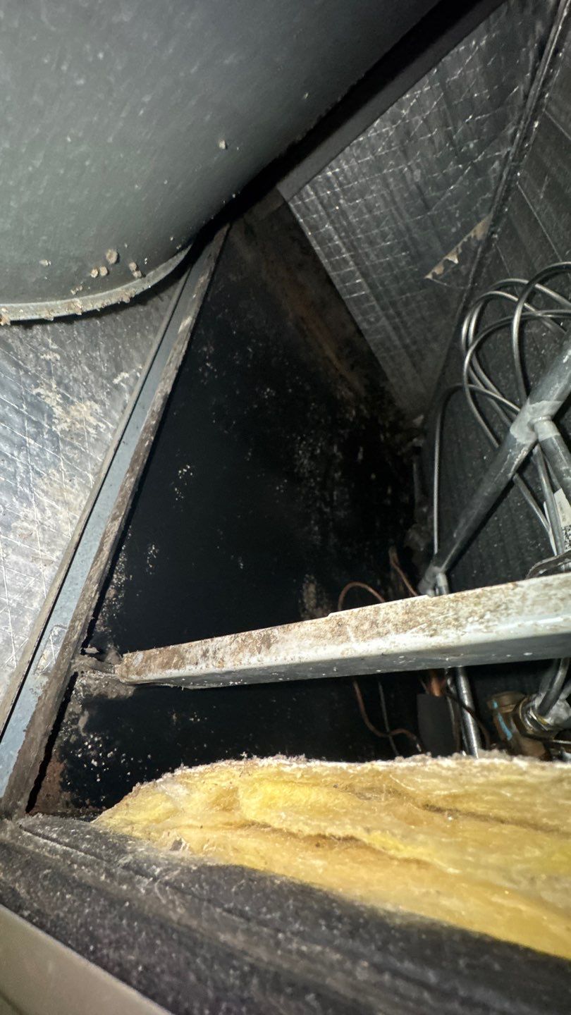 Extremely Dirty Air Duct Cleaning in Fruitland Park by Hygienic Air, Inc