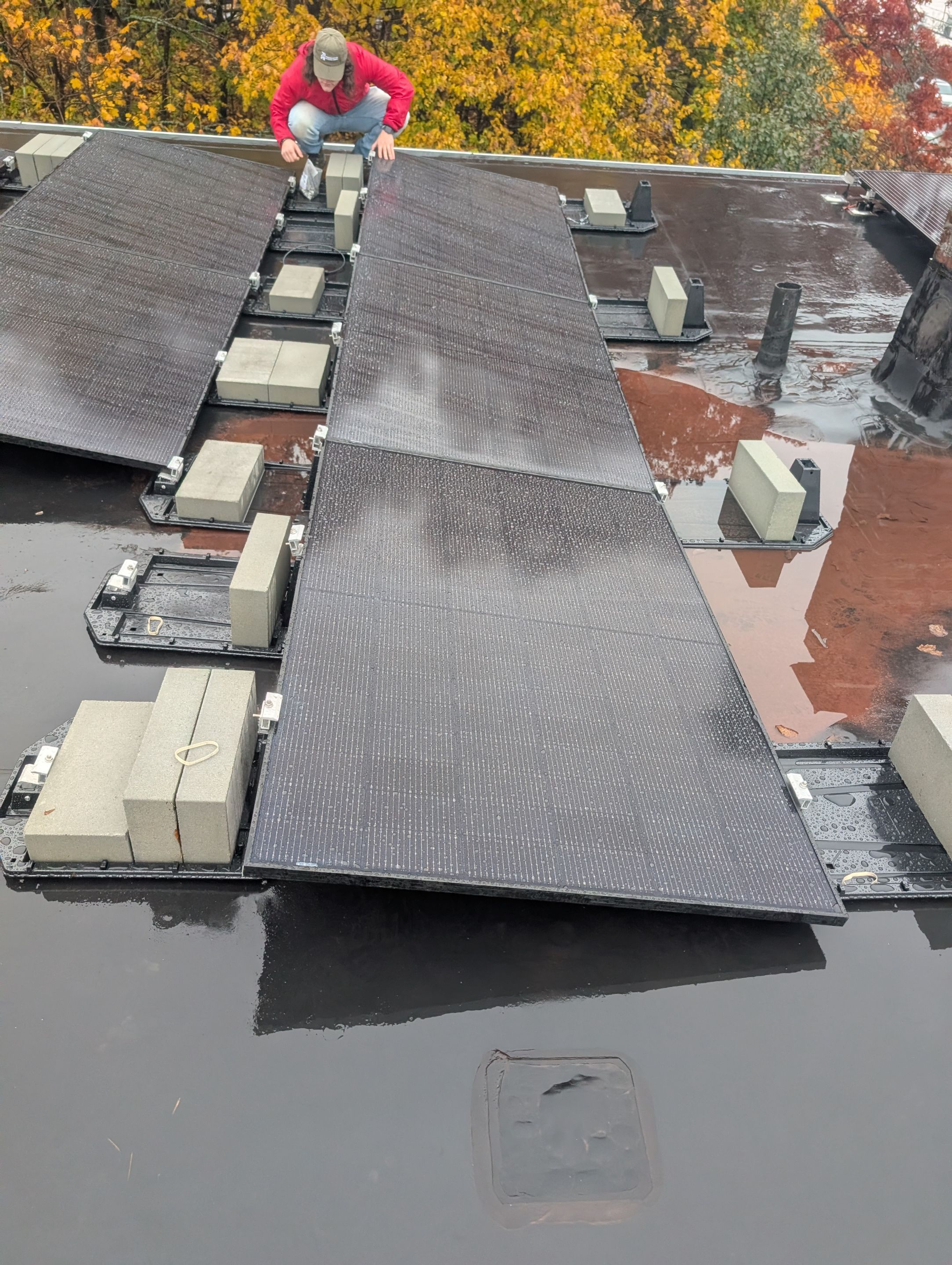 Daniel H. by OneGrid