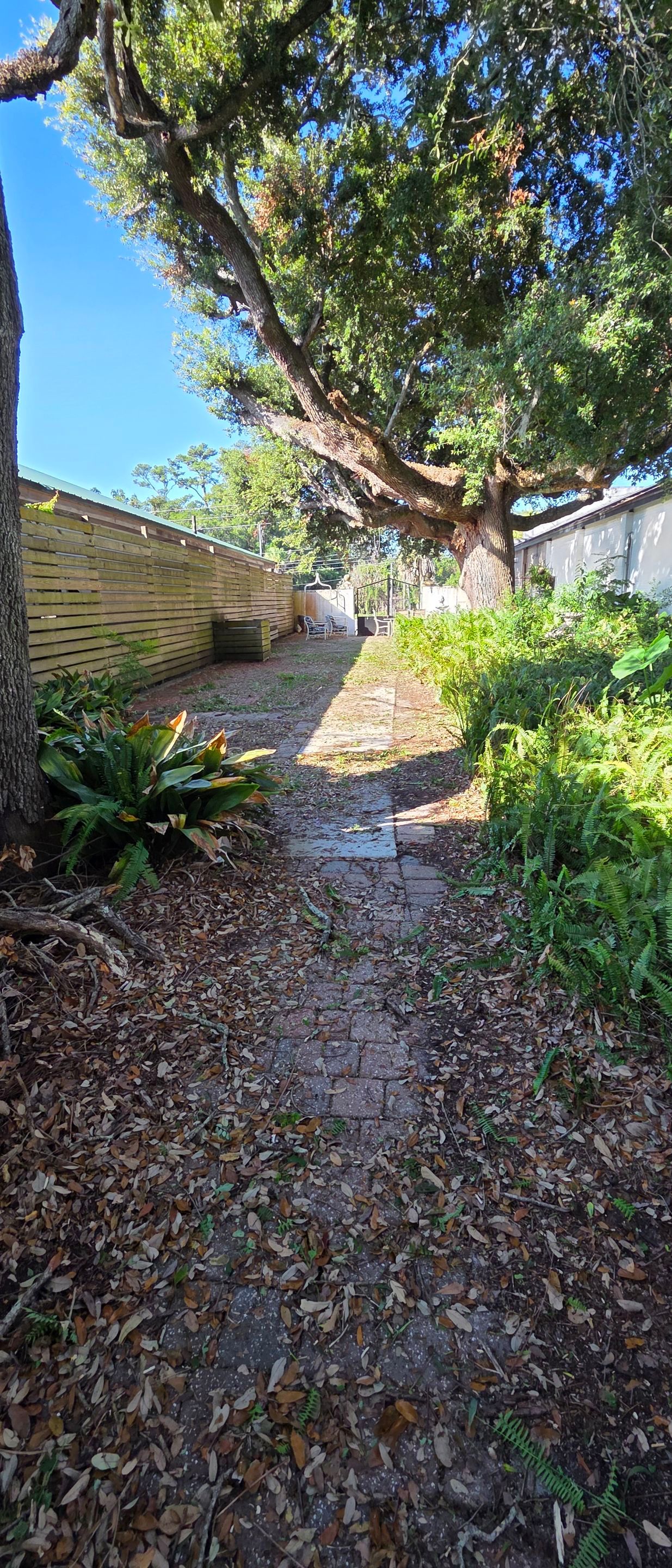 Commercial Property | Clean Up & Tree Removal by ProGreen Services