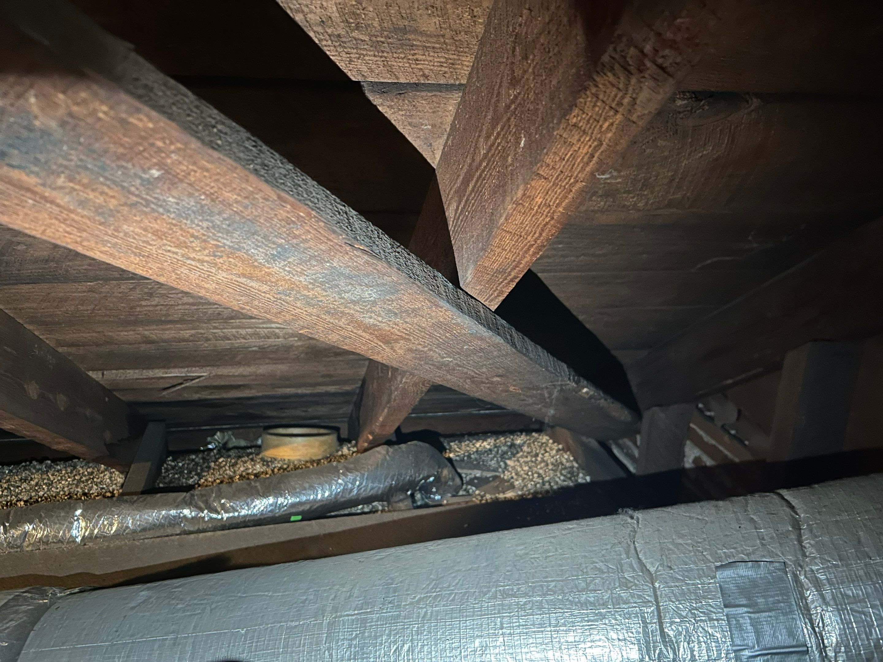 Alexandra: Residential Metal Roofing  by RM Banning, Inc.