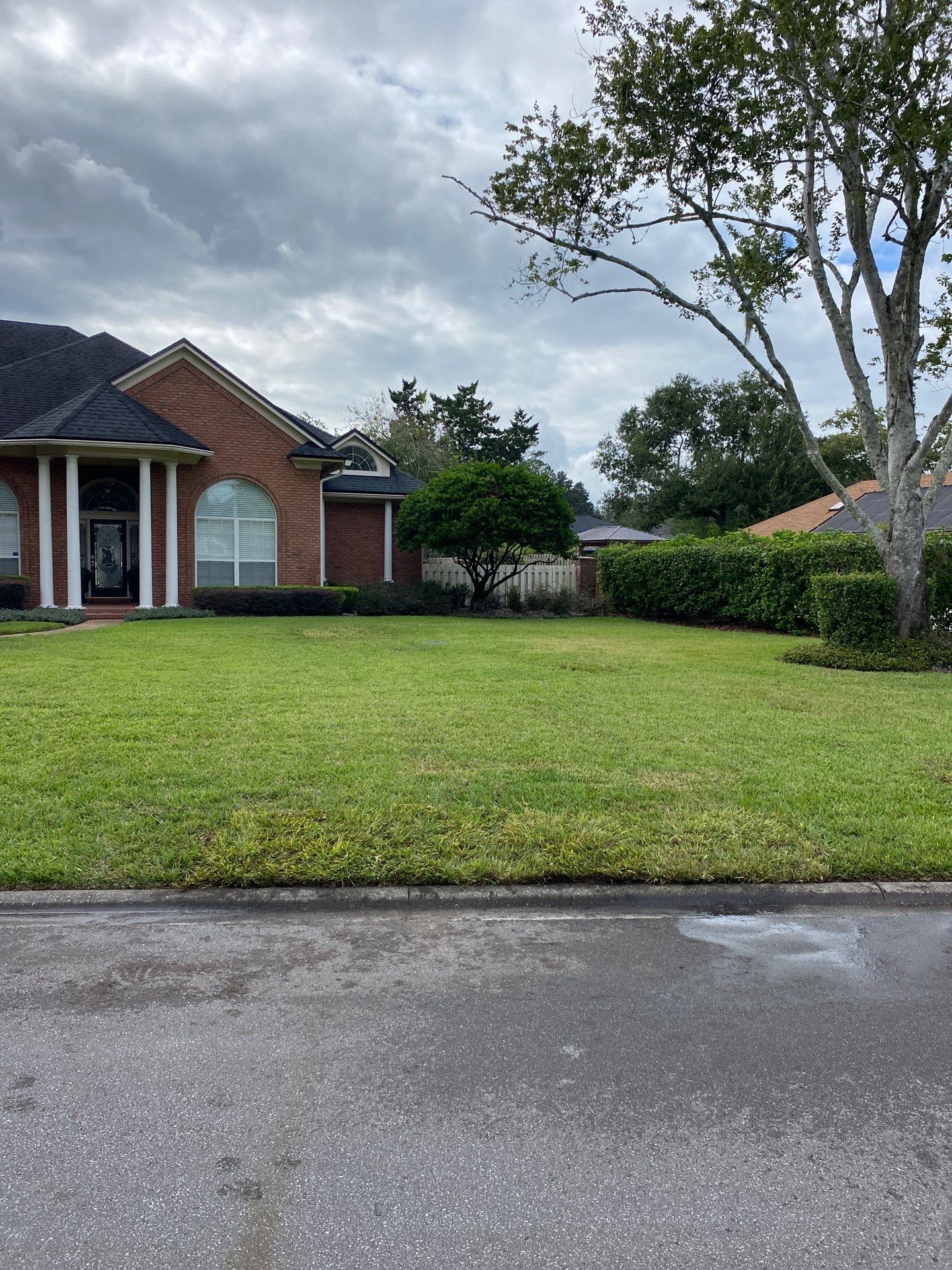 Deerwood Resident | Sod Replacement by ProGreen Services