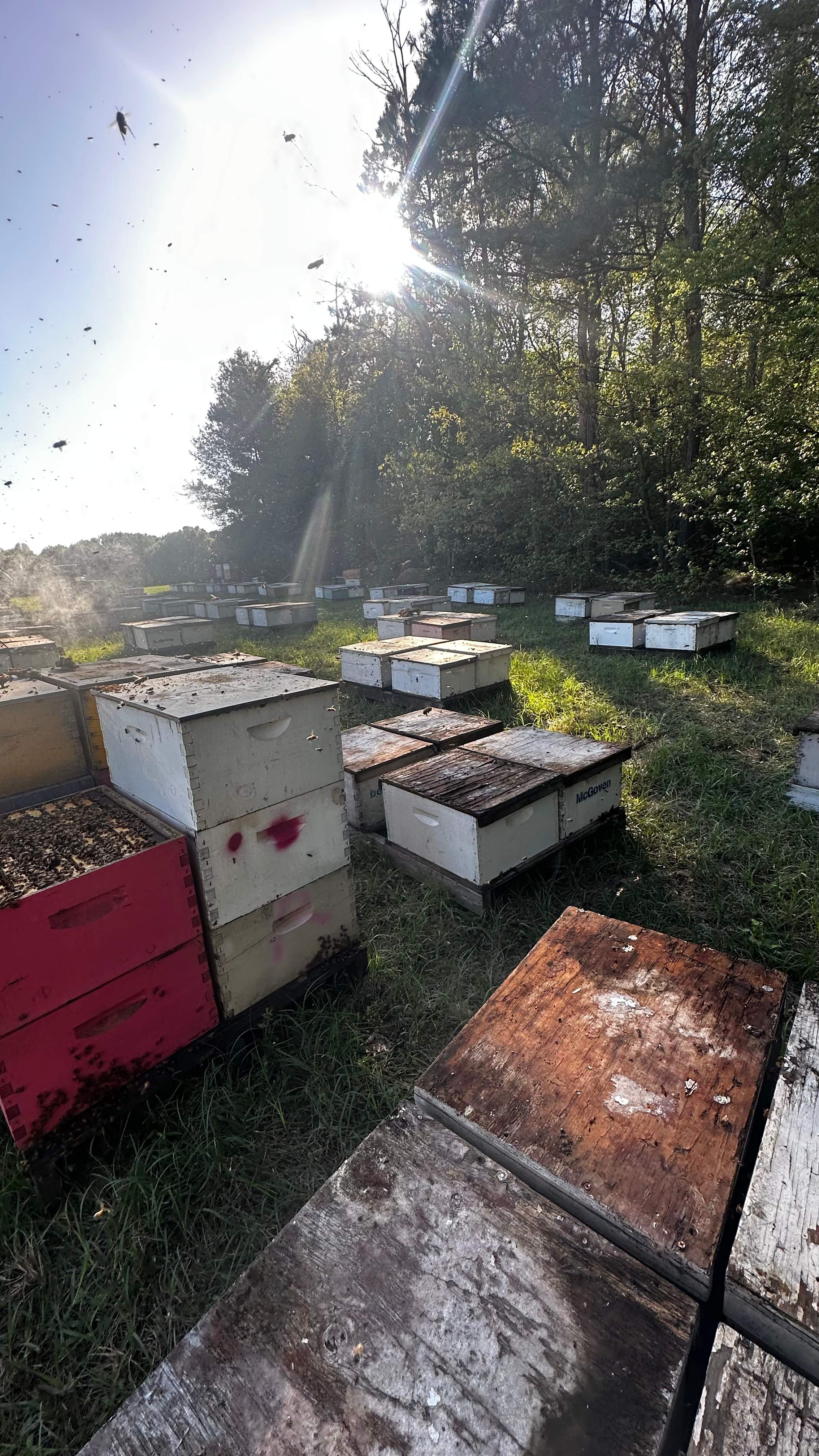Traylor's Hay Meadow Apiary by Rockwall Honey Bee Company