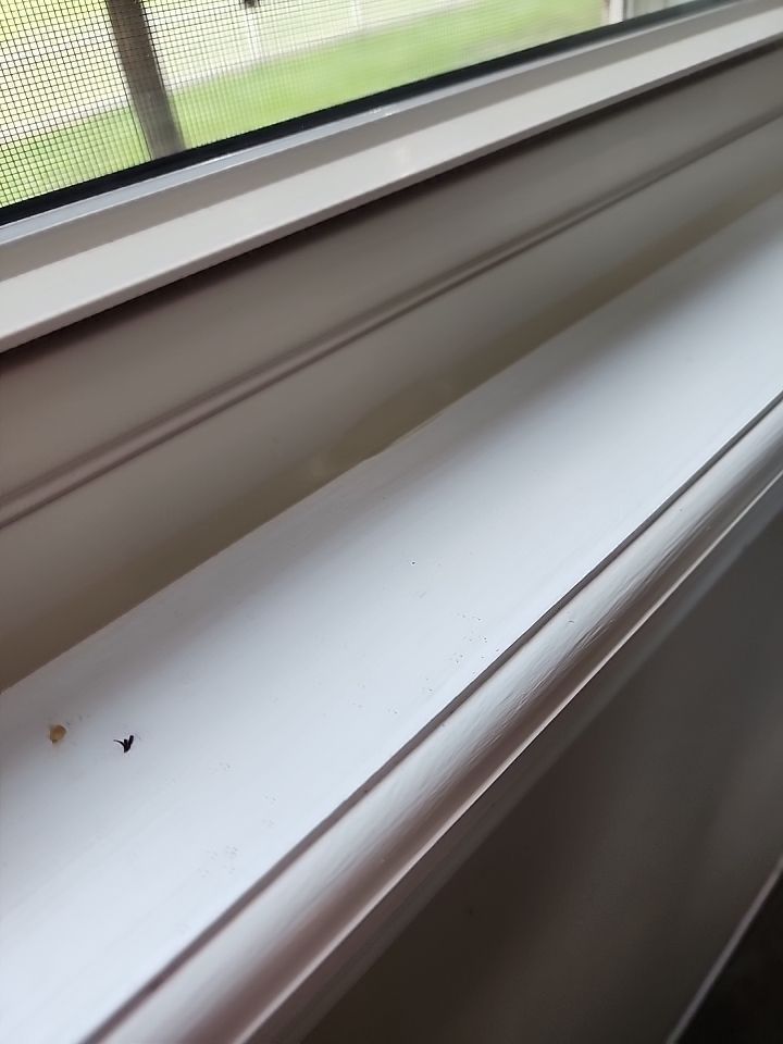 Roof and Windows! by Tamlin Roofing