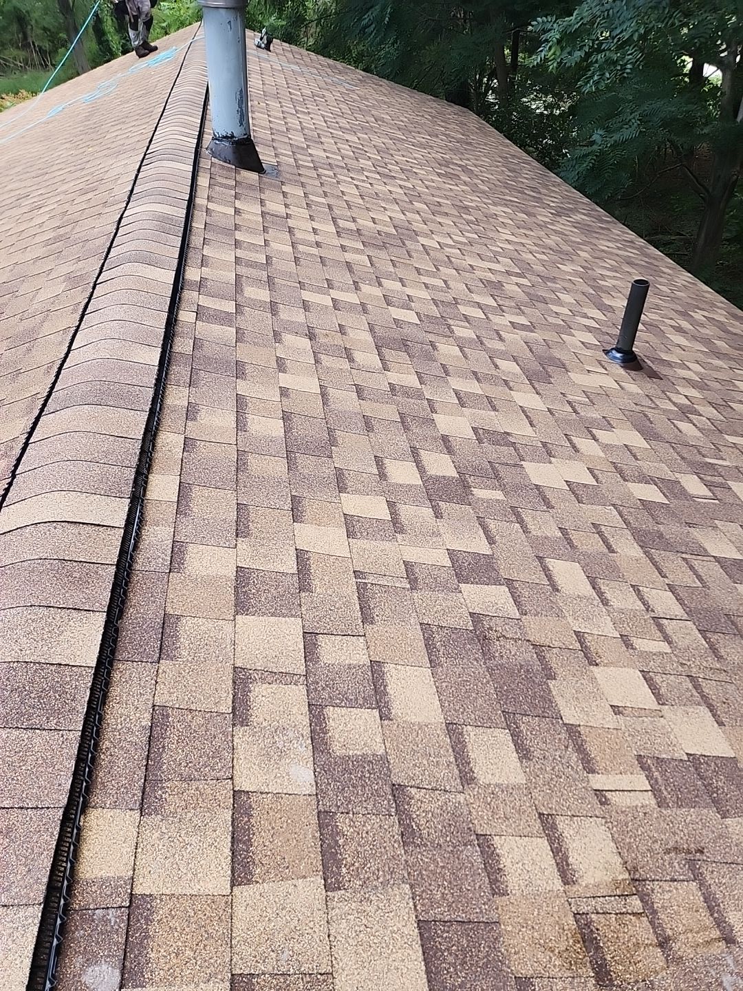 ATLAS PINNACLE COLOR: MORNING HARVEST by Eagle Eye Roofing