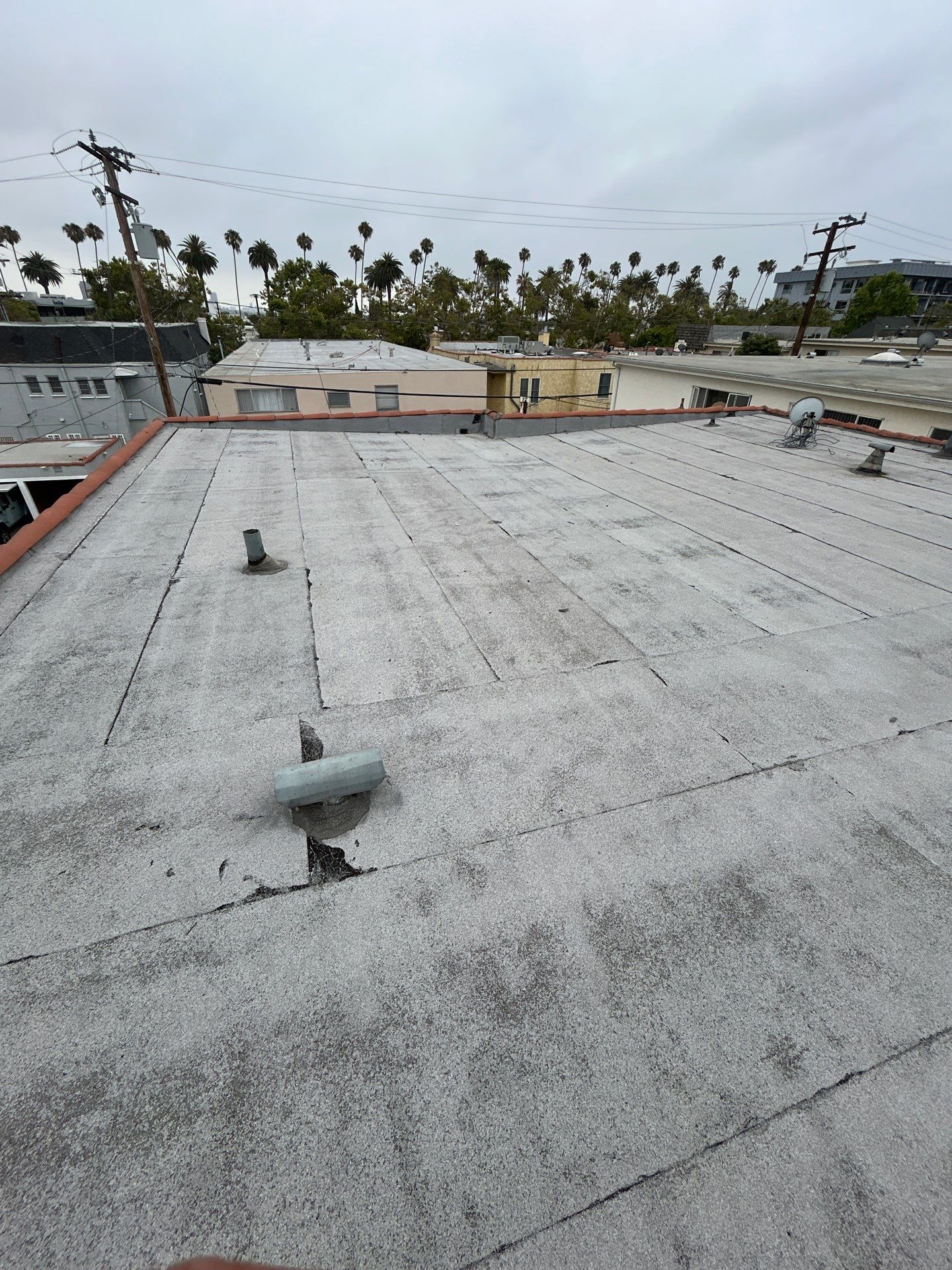 Beverly Hills Flat Roof Coating and Terracotta Tile Reset by Hull Brothers Roofing