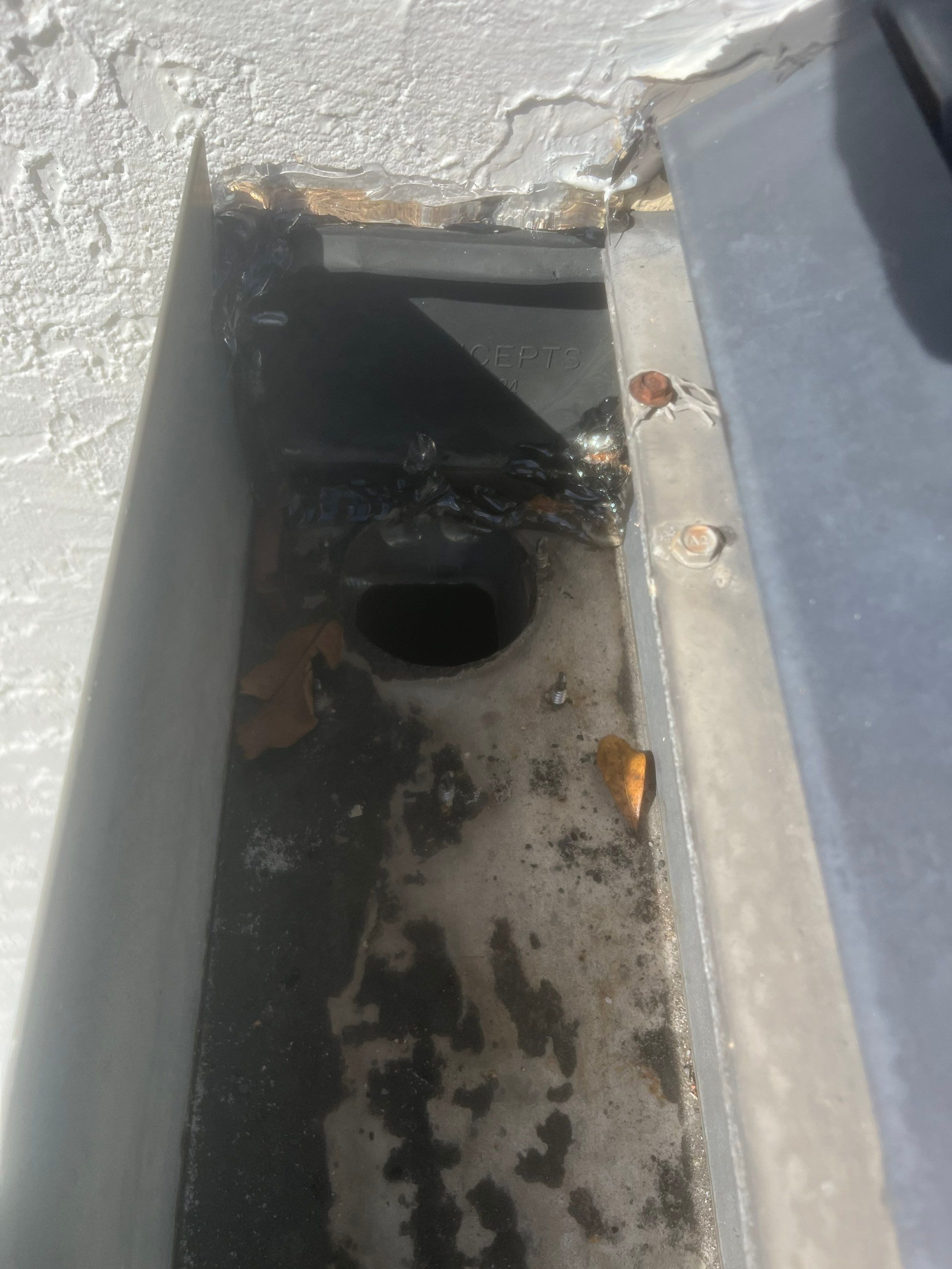 Professional Gutter Cleaning in Fort Myers FL by Gutter Professors