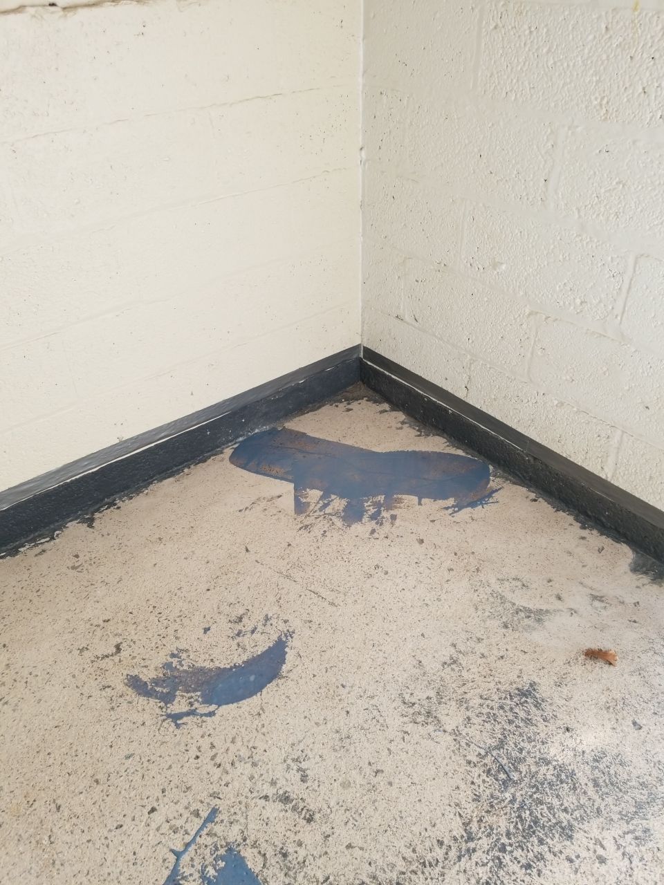 Laundry Room Floor Coating using Penntek- Silver Creek by Spectrum Painting, LLC