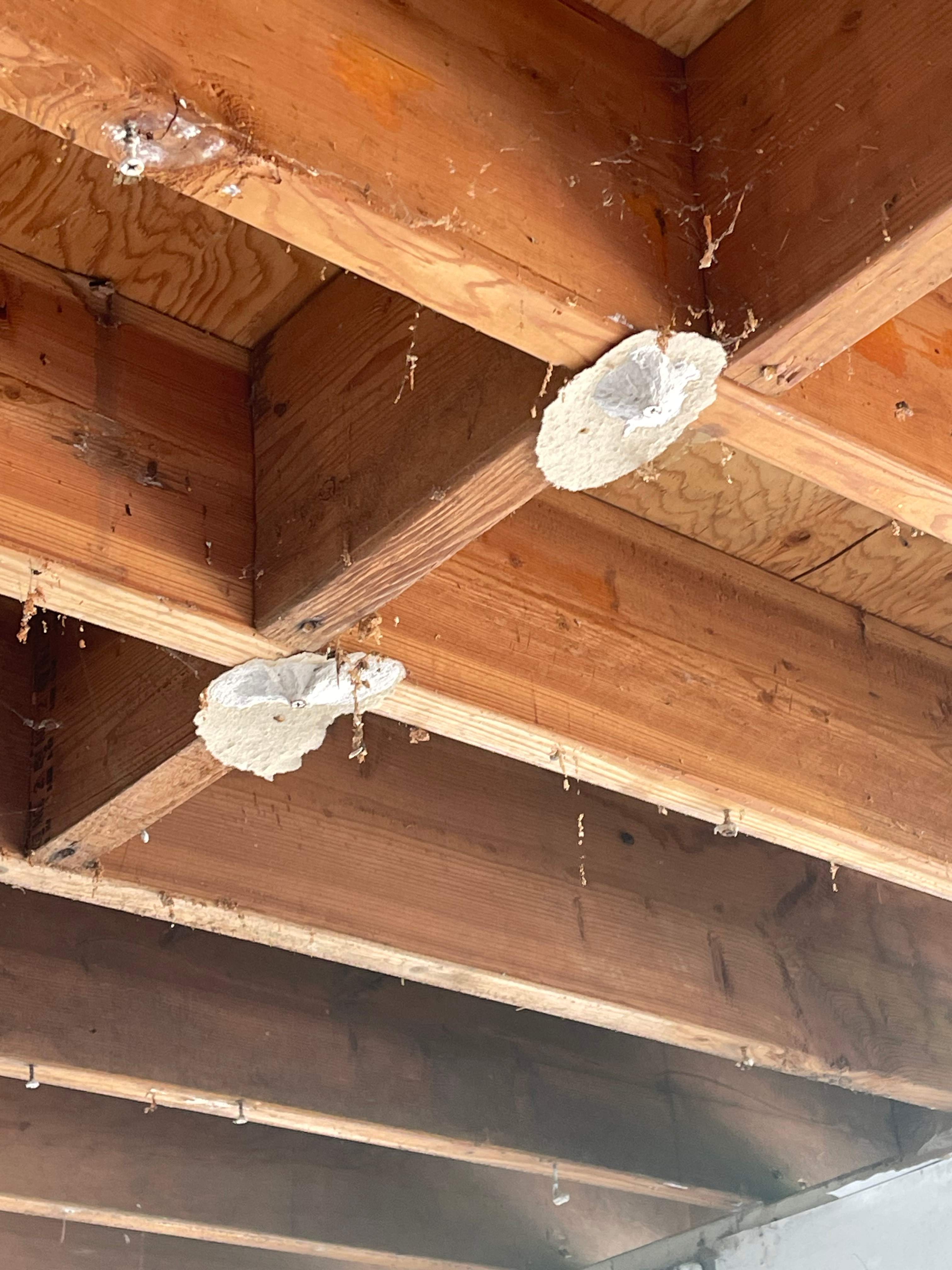 Coquitlam full Renovation Project by YVR Construction Group