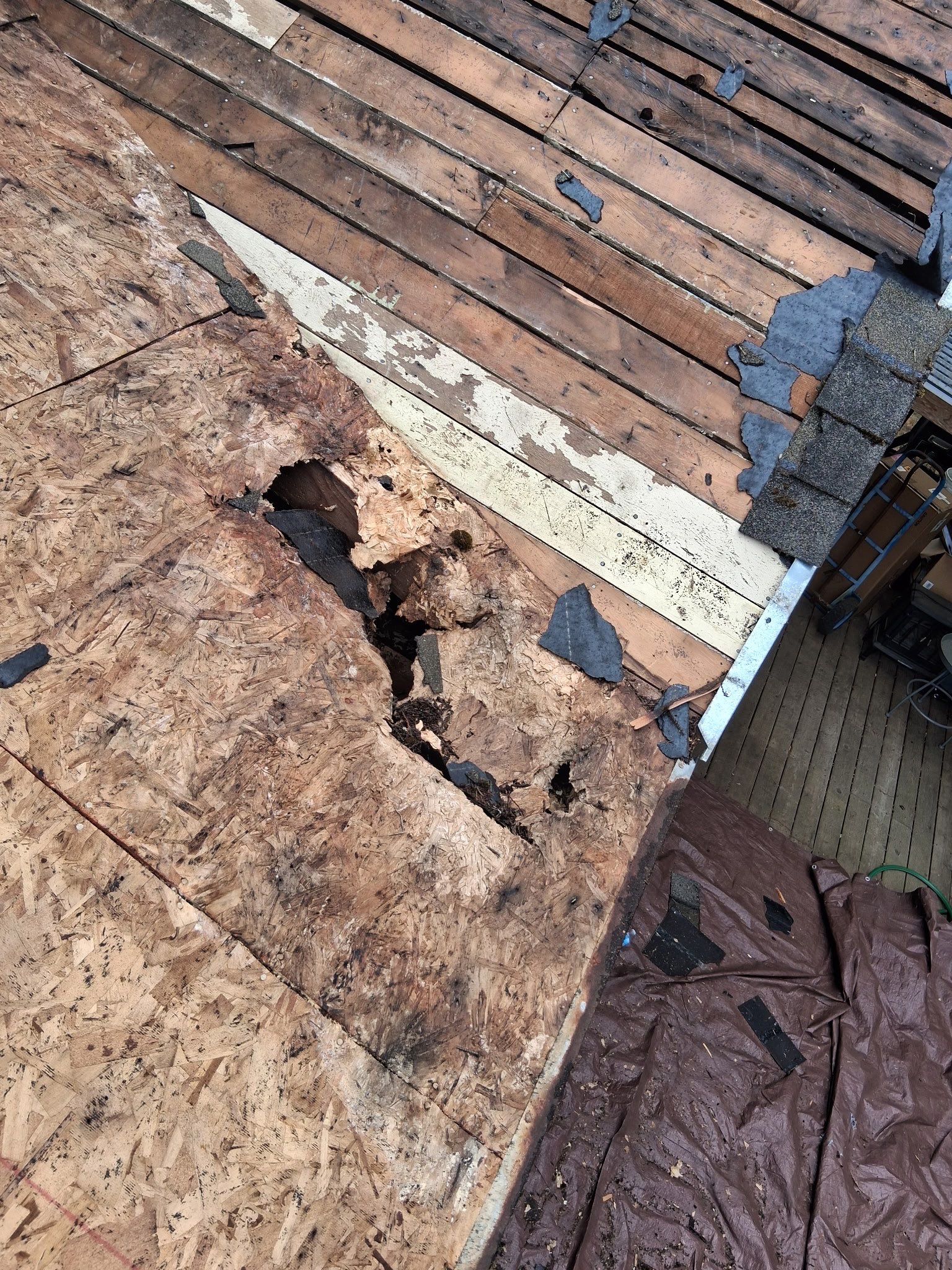 Project in Gresham by Tom Leach Roofing
